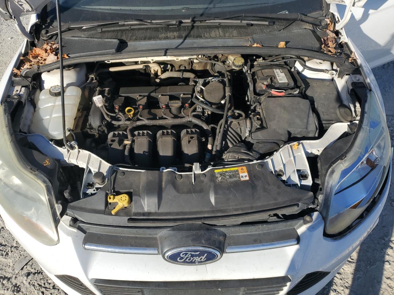 2013 Ford Focus Se White vin: 1FADP3K25DL181281