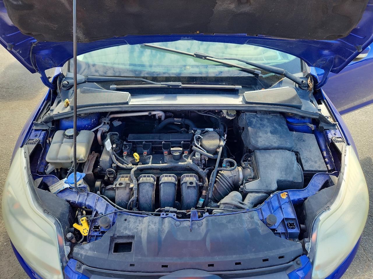 2013 Ford Focus Se Blue vin: 1FADP3K25DL266105