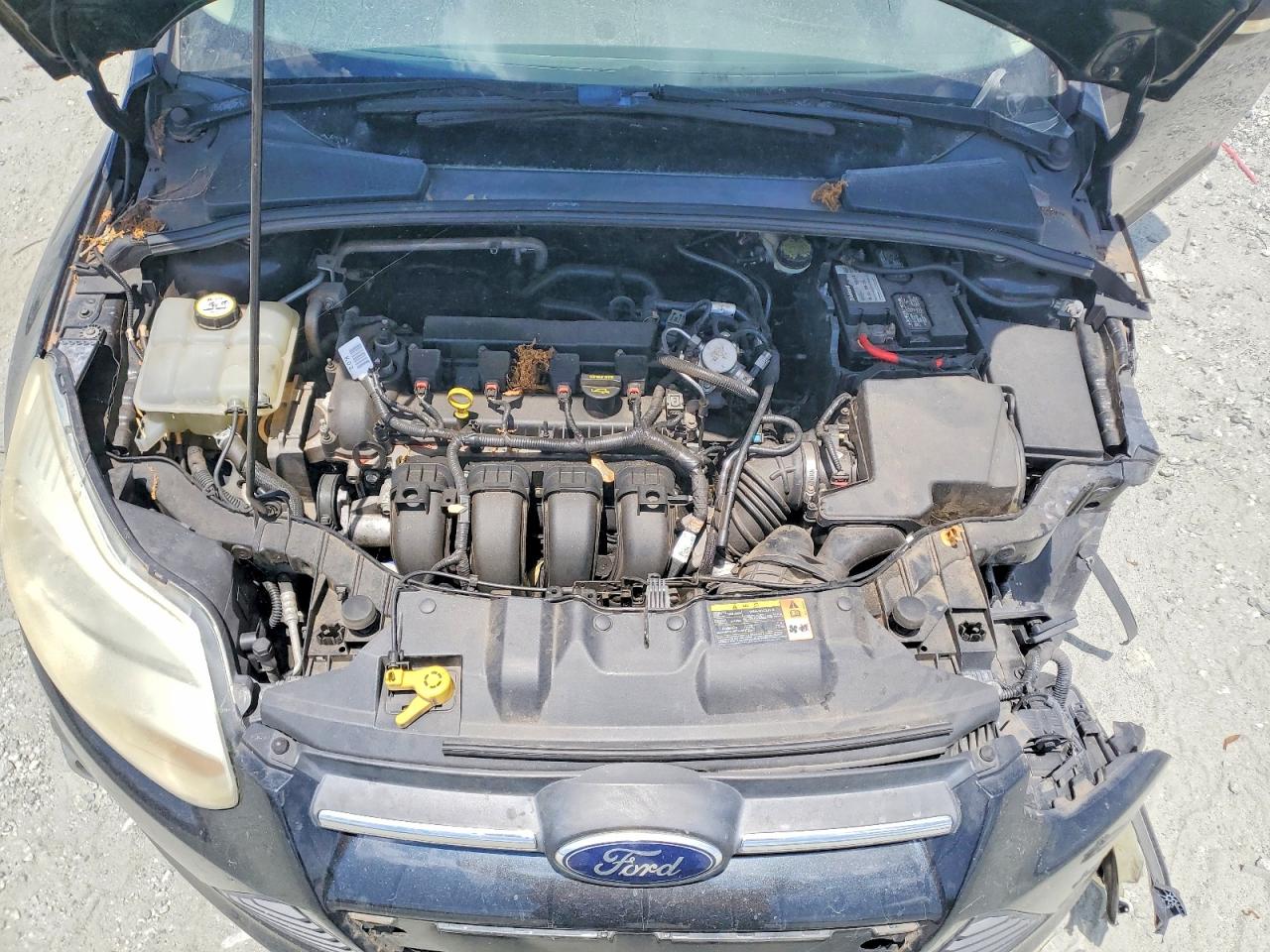 2014 Ford Focus Se Black vin: 1FADP3K25EL180309