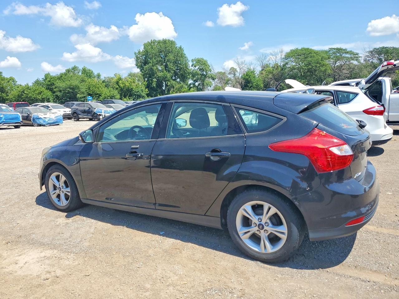 2014 Ford Focus Se Black vin: 1FADP3K25EL437937