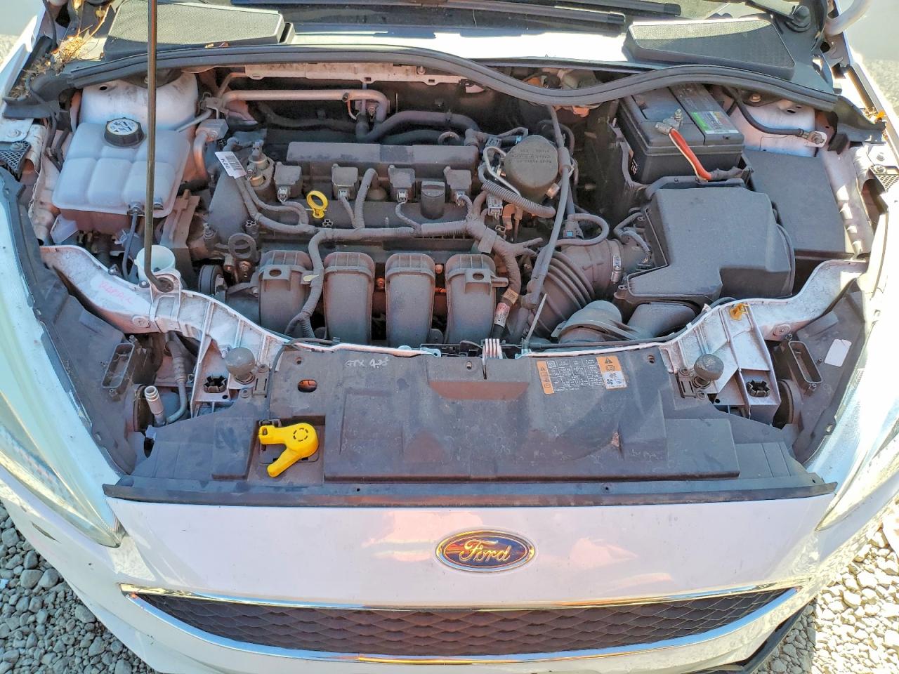 2015 Ford Focus Se White vin: 1FADP3K25FL316214
