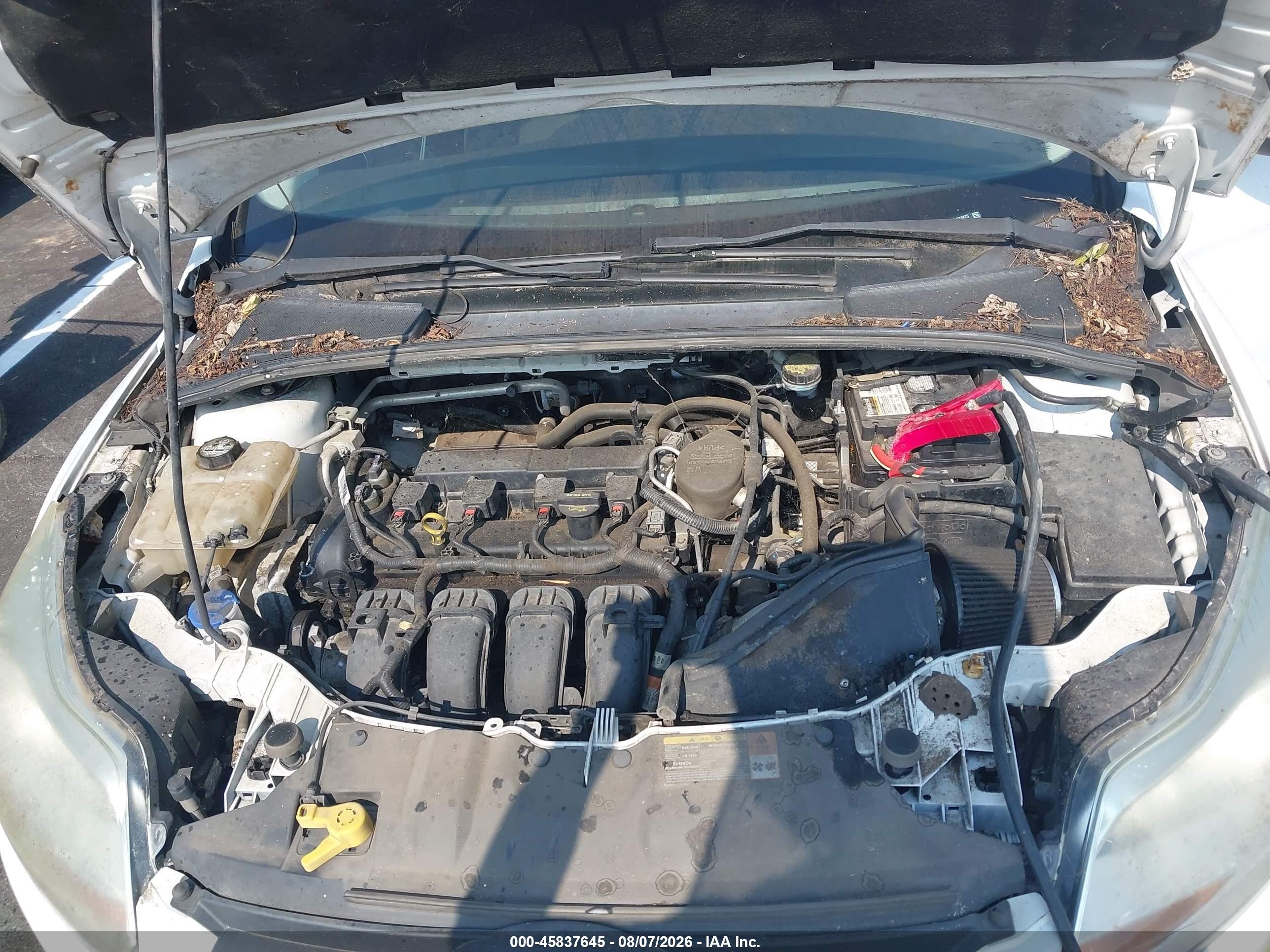 2013 Ford Focus Se White vin: 1FADP3K26DL274875