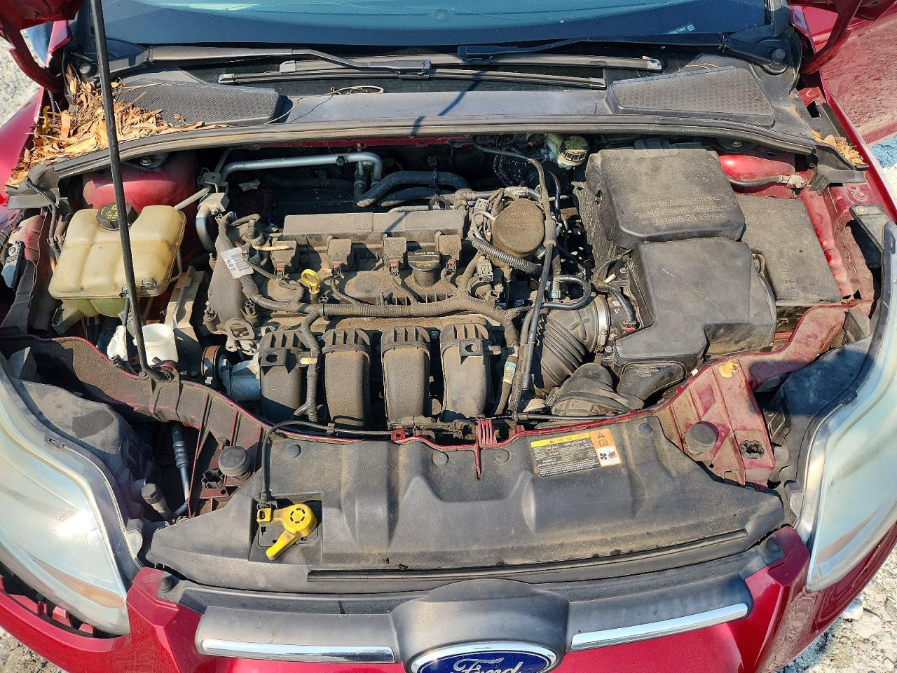 2014 Ford Focus Se Red vin: 1FADP3K26EL176852