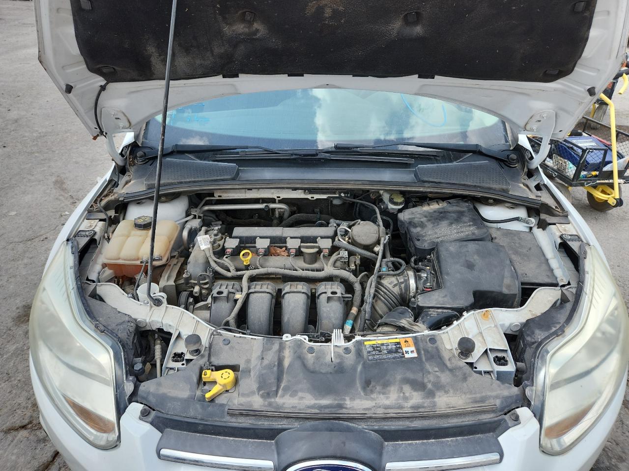 2014 Ford Focus Se Белый vin: 1FADP3K26EL238606