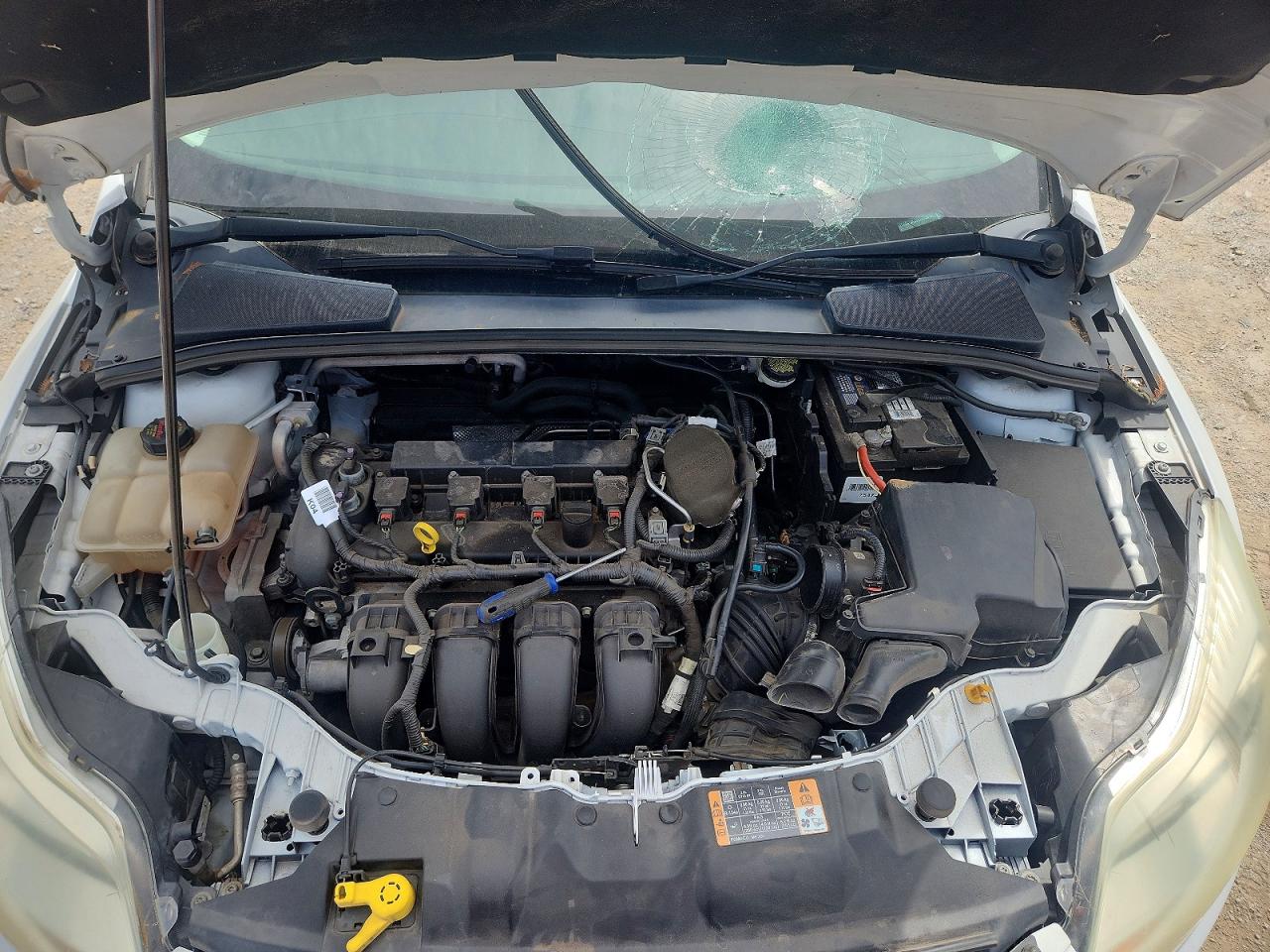 2014 Ford Focus Se White vin: 1FADP3K26EL429877