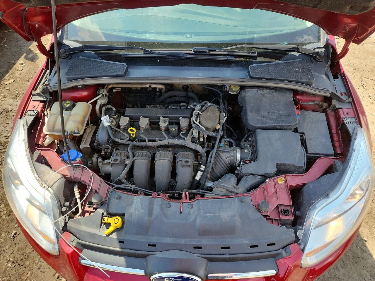 2014 Ford Focus Se Red vin: 1FADP3K26EL439258