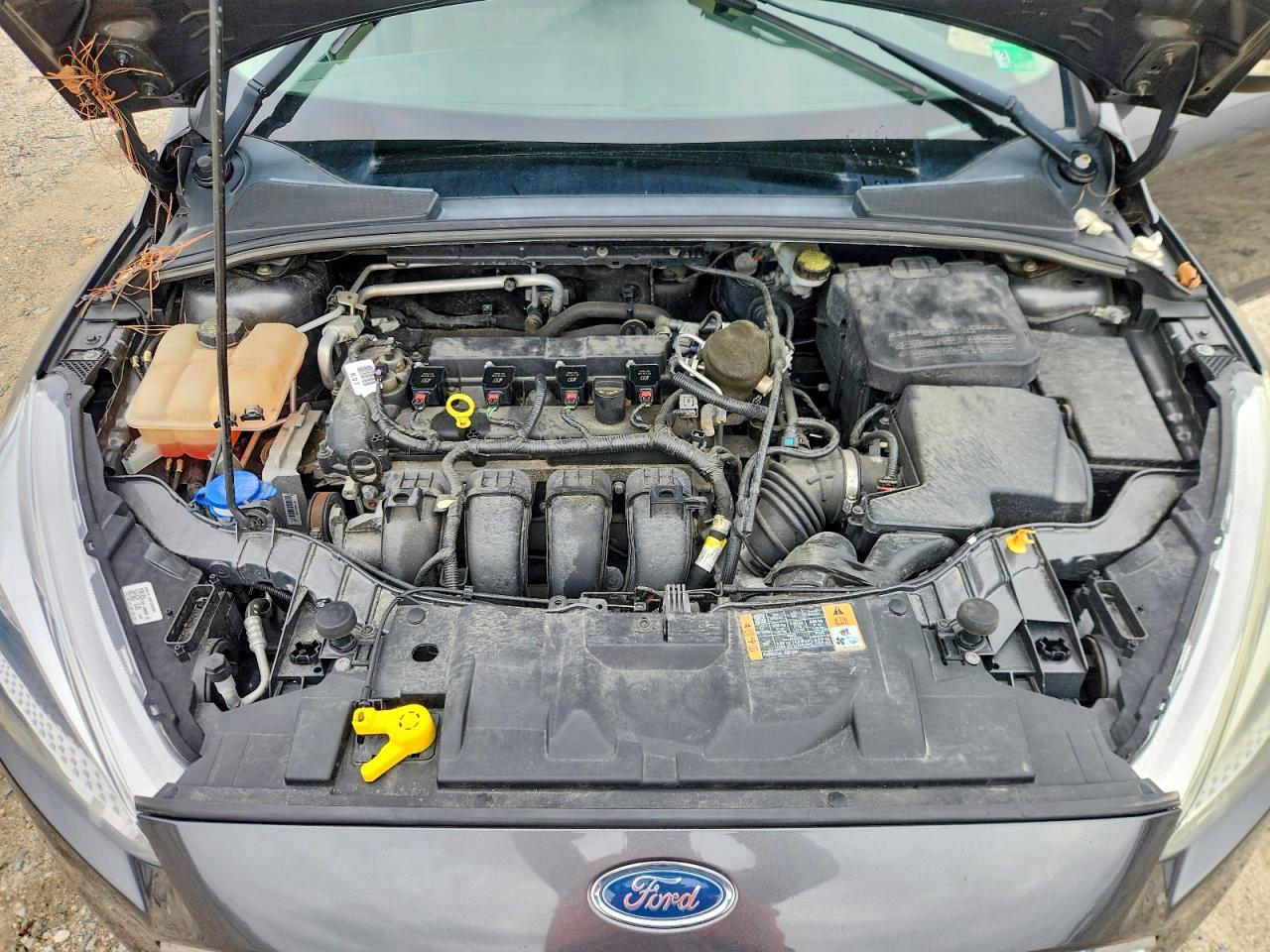 2015 Ford Focus Se Gray vin: 1FADP3K26FL200164