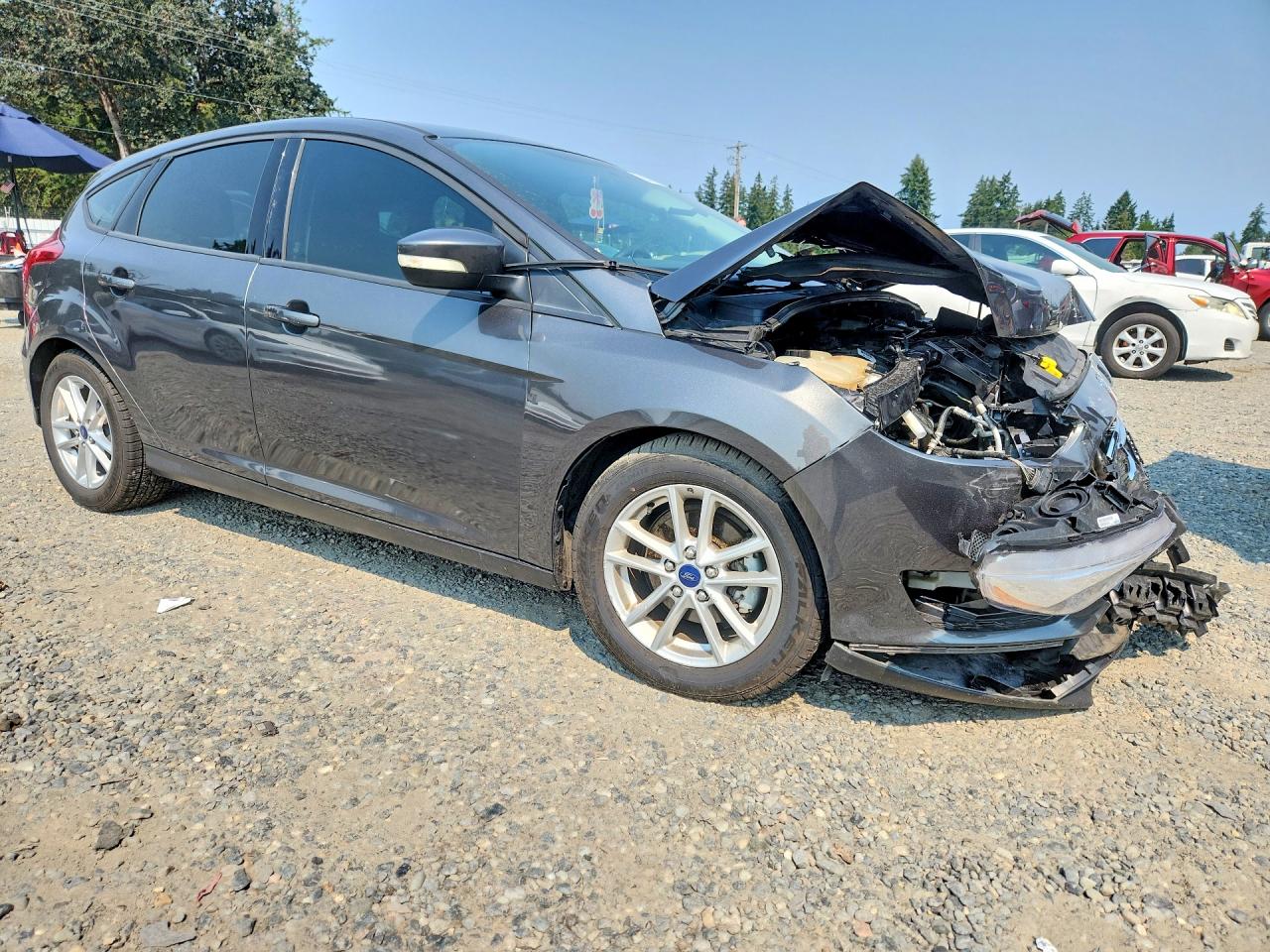 2015 Ford Focus Se Gray vin: 1FADP3K26FL263684