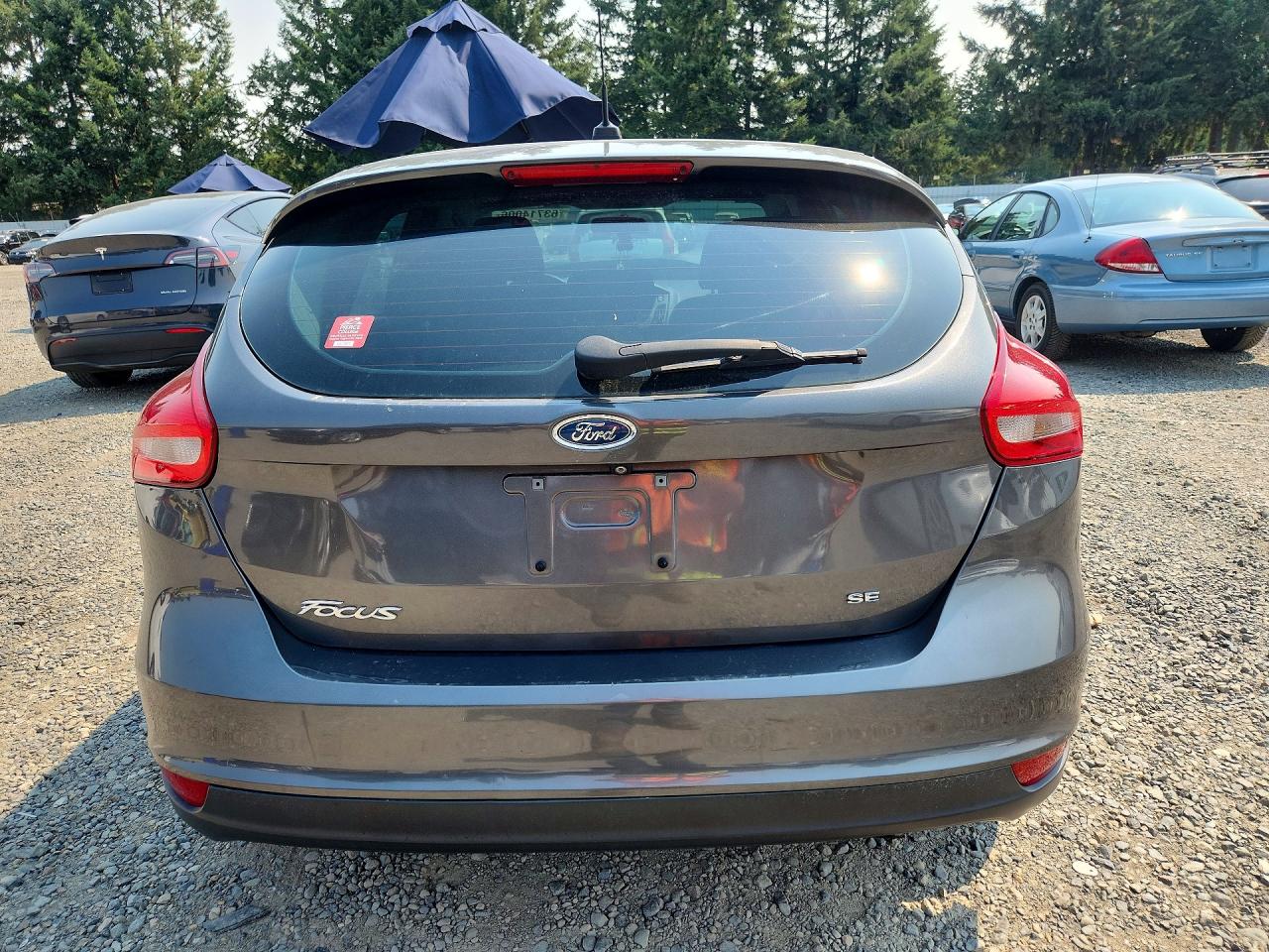 2015 Ford Focus Se Gray vin: 1FADP3K26FL263684