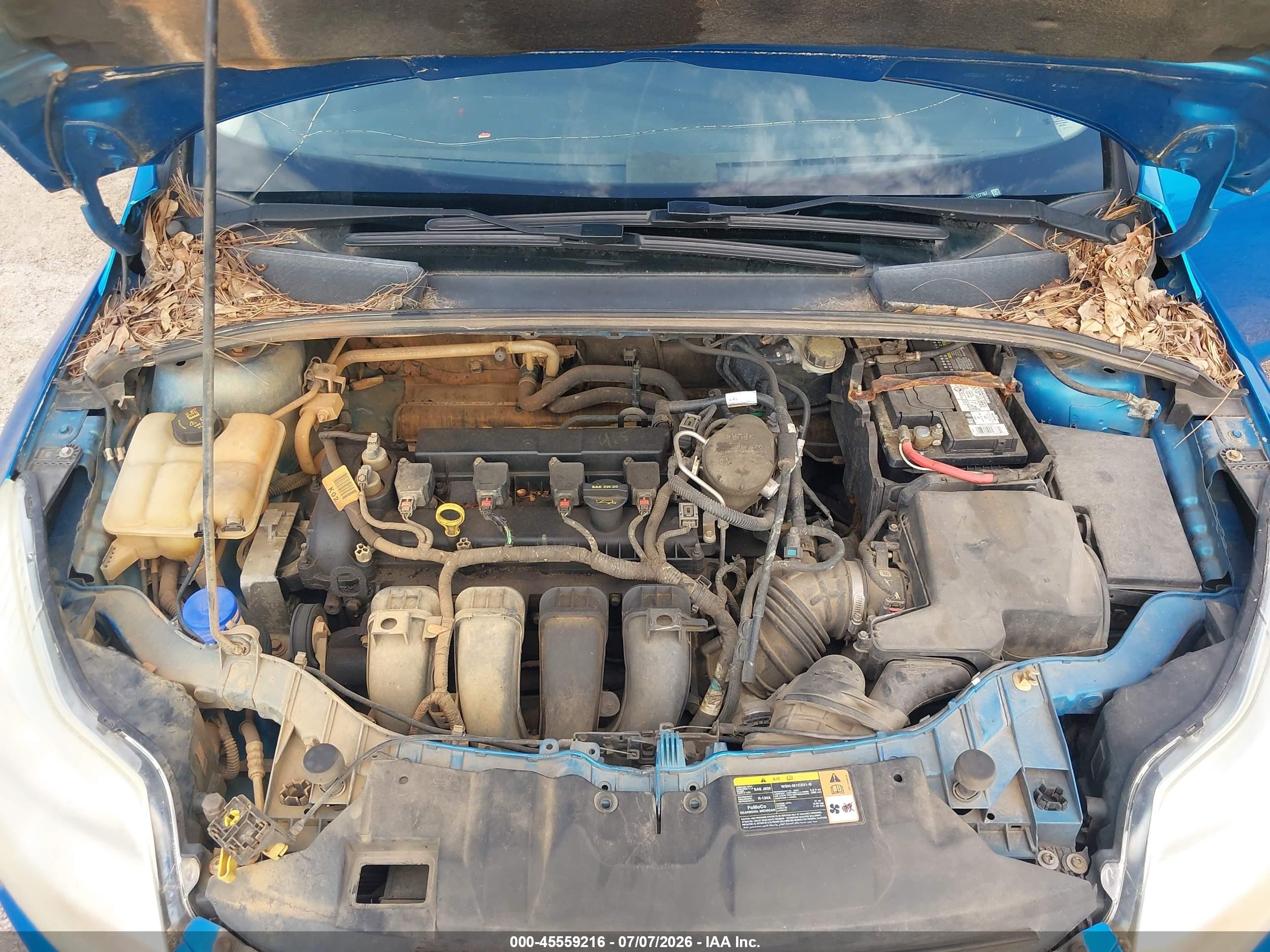 2014 Ford Focus Se Blue vin: 1FADP3K27EL137767
