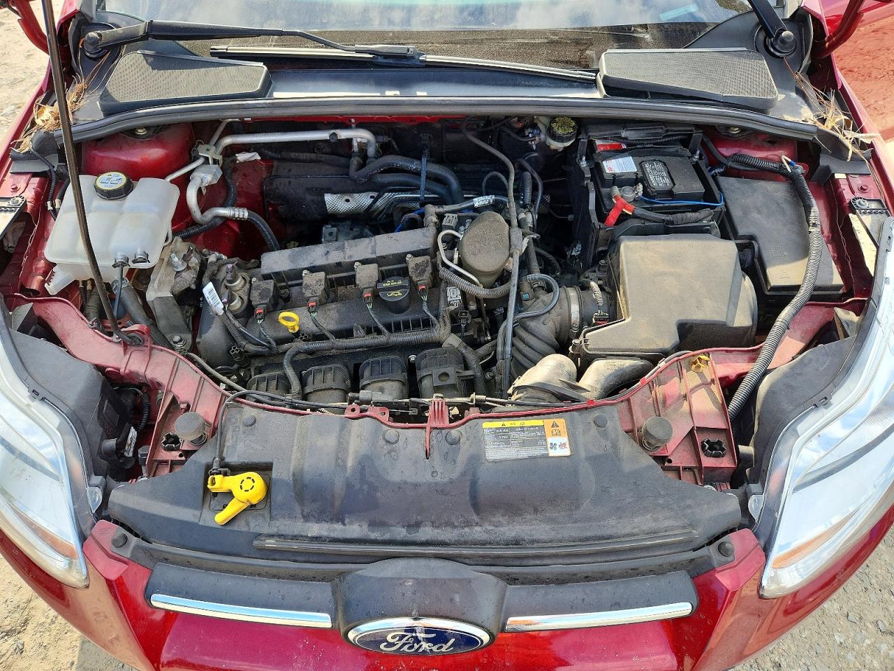 2014 Ford Focus Se Красный vin: 1FADP3K27EL204514