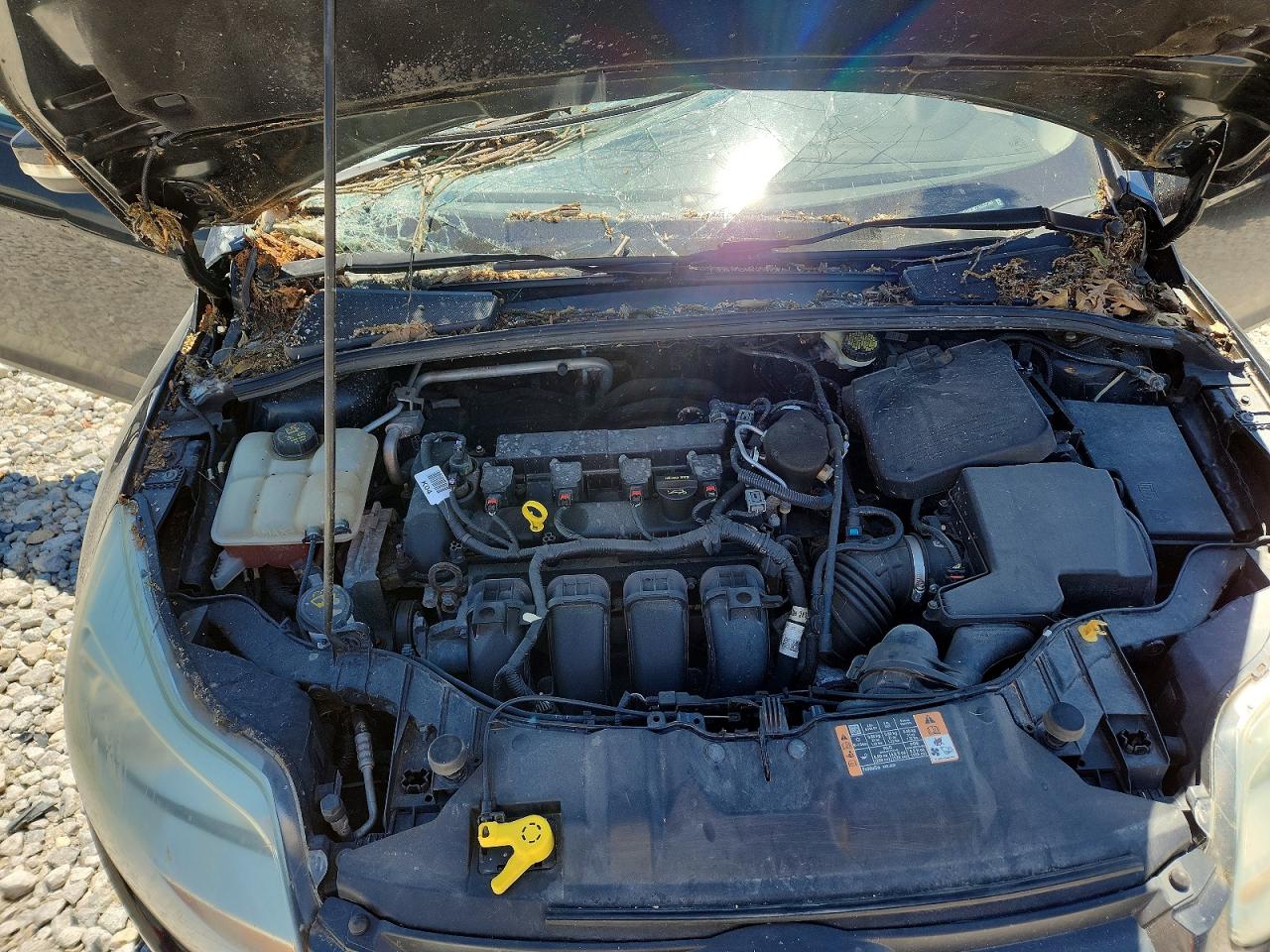 2014 Ford Focus Se Серый vin: 1FADP3K27EL337340