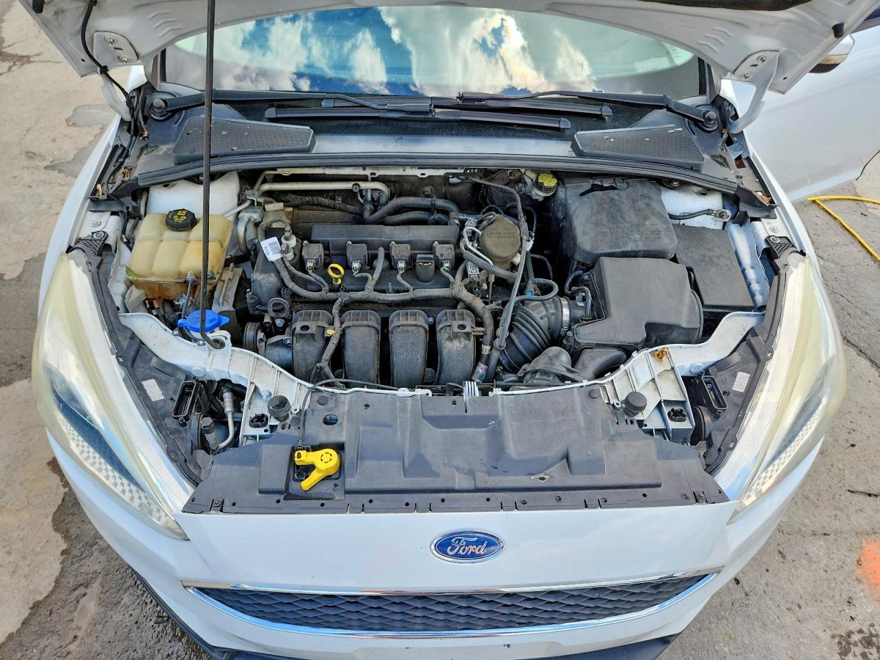 2015 Ford Focus Se White vin: 1FADP3K27FL333838