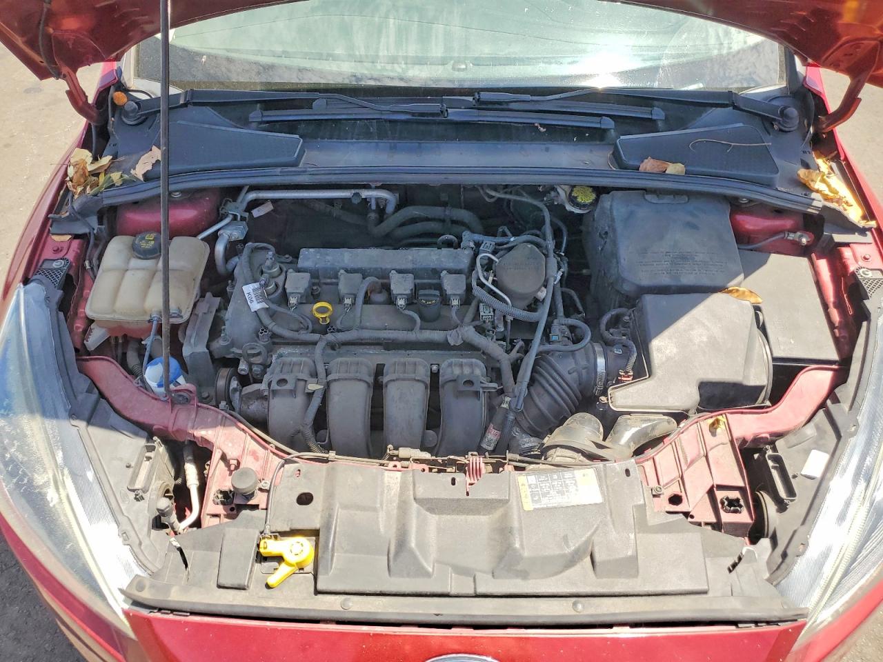 2015 Ford Focus Se Red vin: 1FADP3K27FL336707
