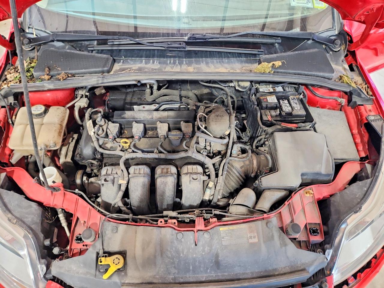 2013 Ford Focus Se Red vin: 1FADP3K28DL348510
