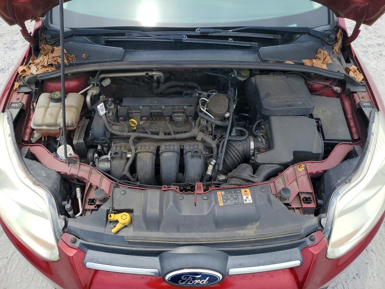2014 Ford Focus Se Maroon vin: 1FADP3K28EL383498