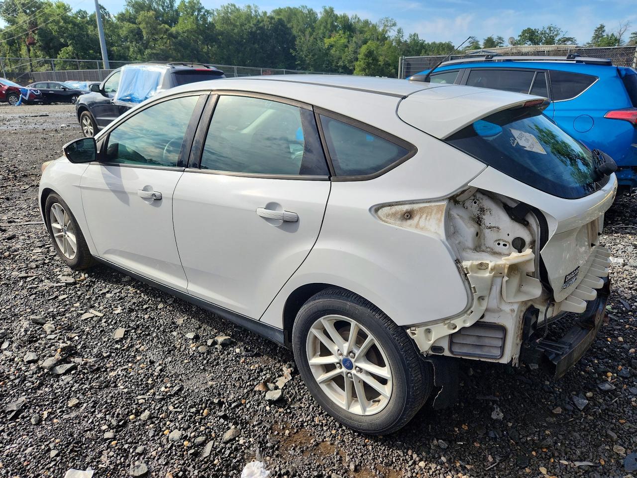2015 Ford Focus Se White vin: 1FADP3K28FL276131