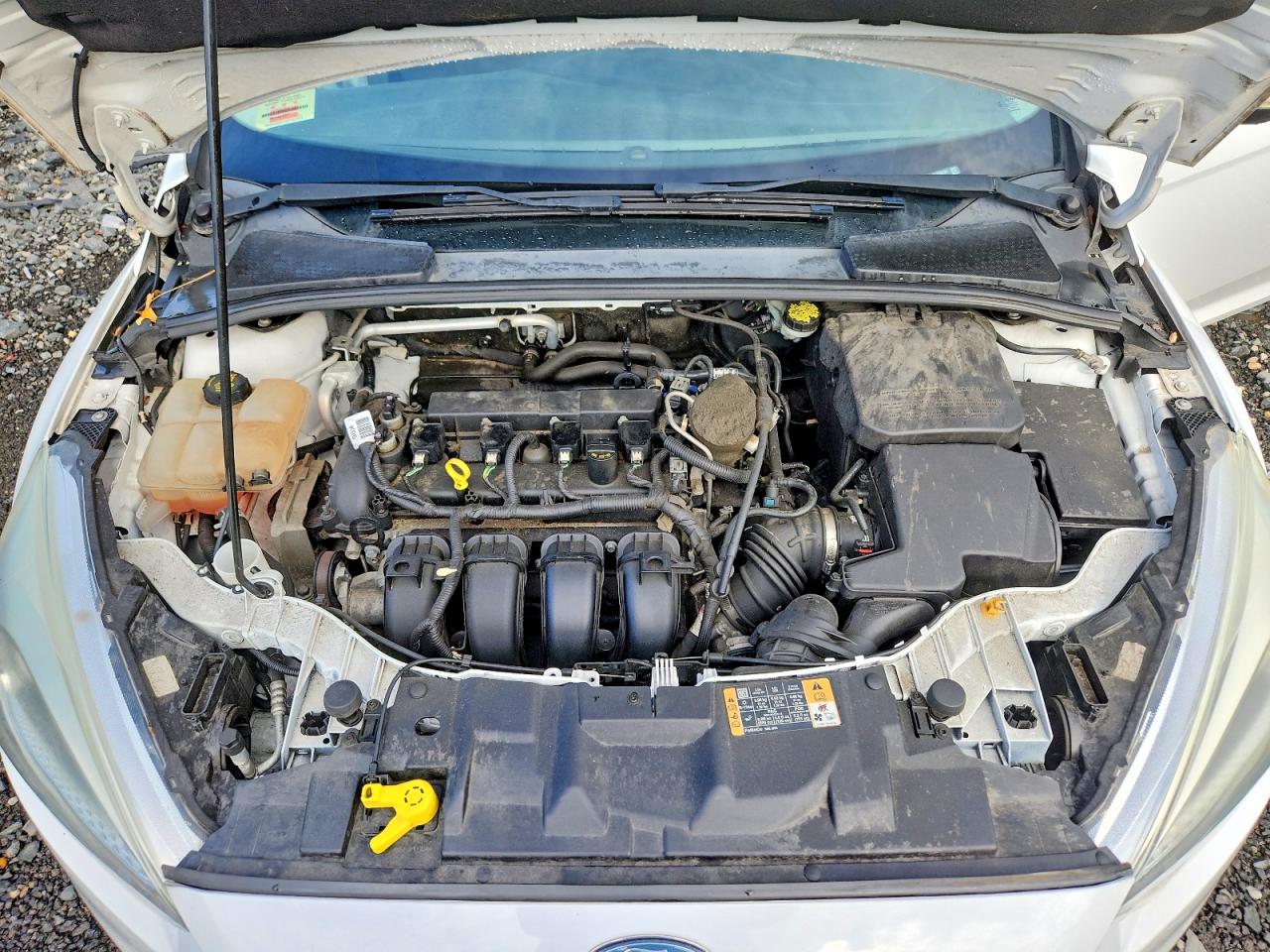 2015 Ford Focus Se White vin: 1FADP3K28FL276131