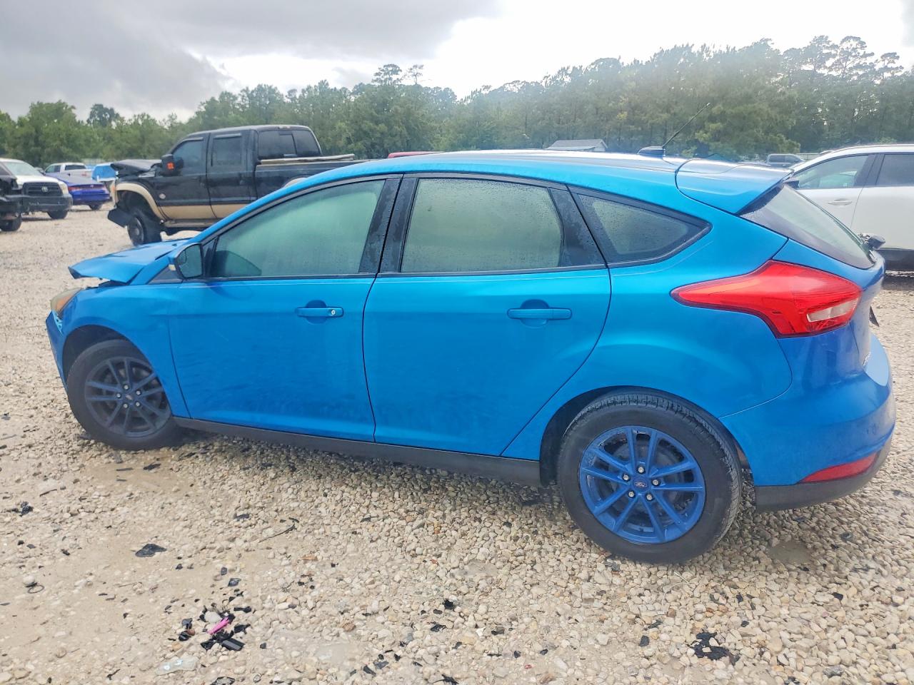 2015 Ford Focus Se Blue vin: 1FADP3K28FL354620