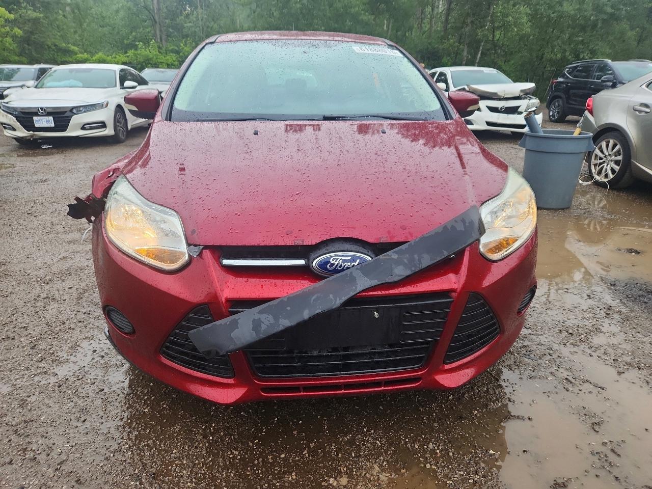 2013 Ford Focus Se Red vin: 1FADP3K29DL146923