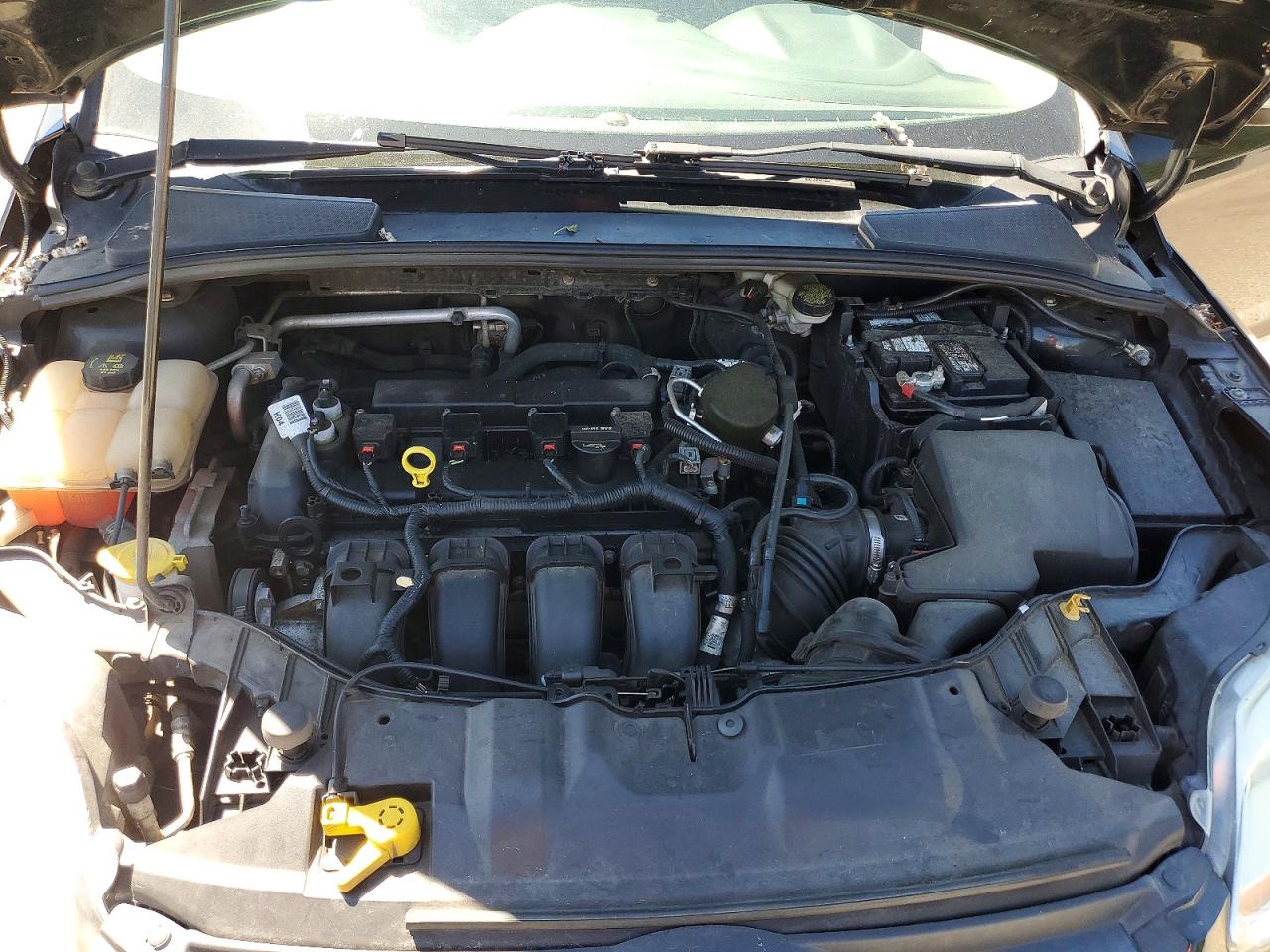 2014 Ford Focus Se Black vin: 1FADP3K29EL294975