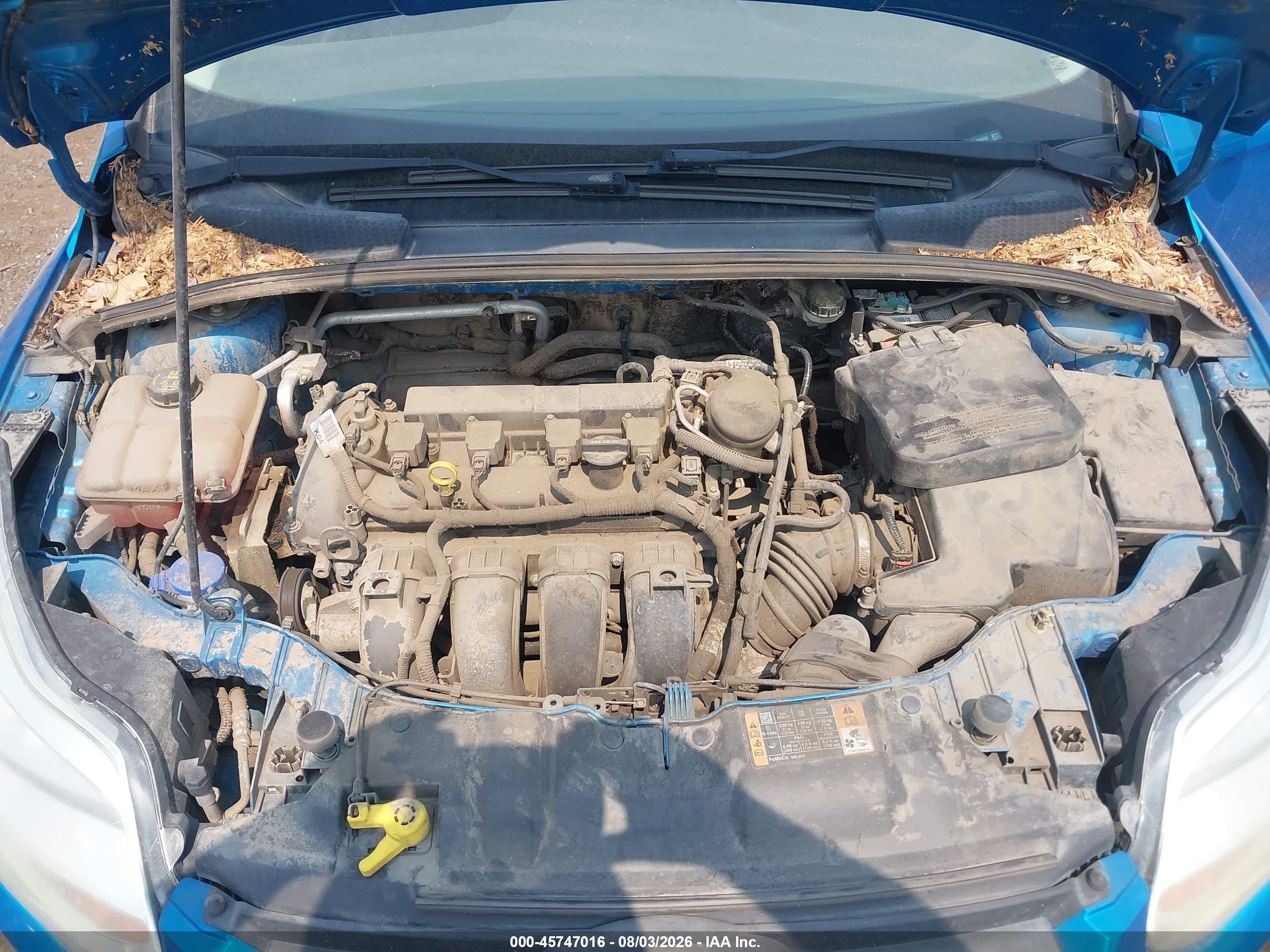 2014 Ford Focus Se Blue vin: 1FADP3K29EL296998