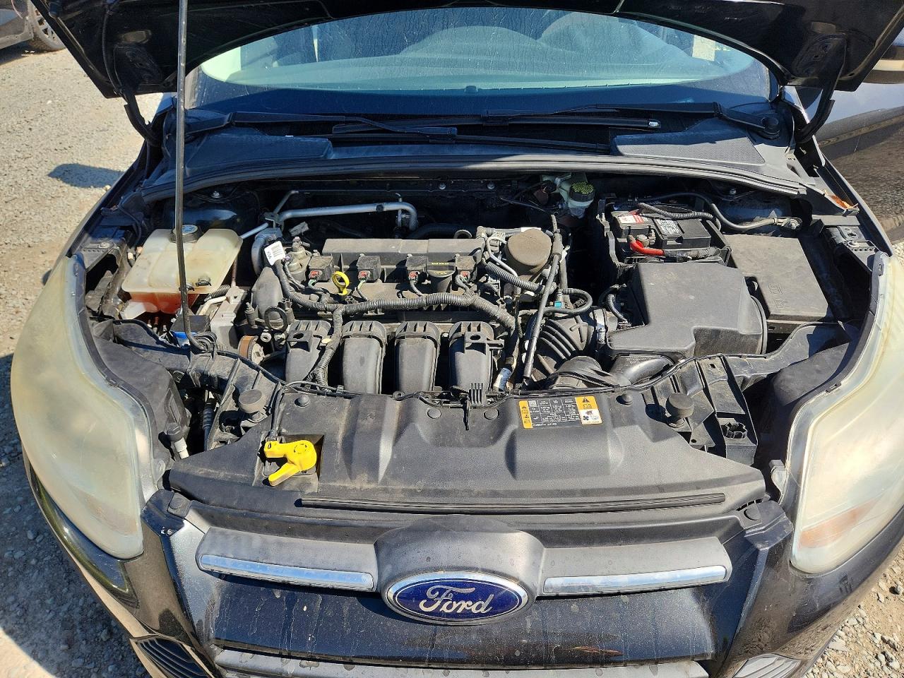 2014 Ford Focus Se Black vin: 1FADP3K29EL324959