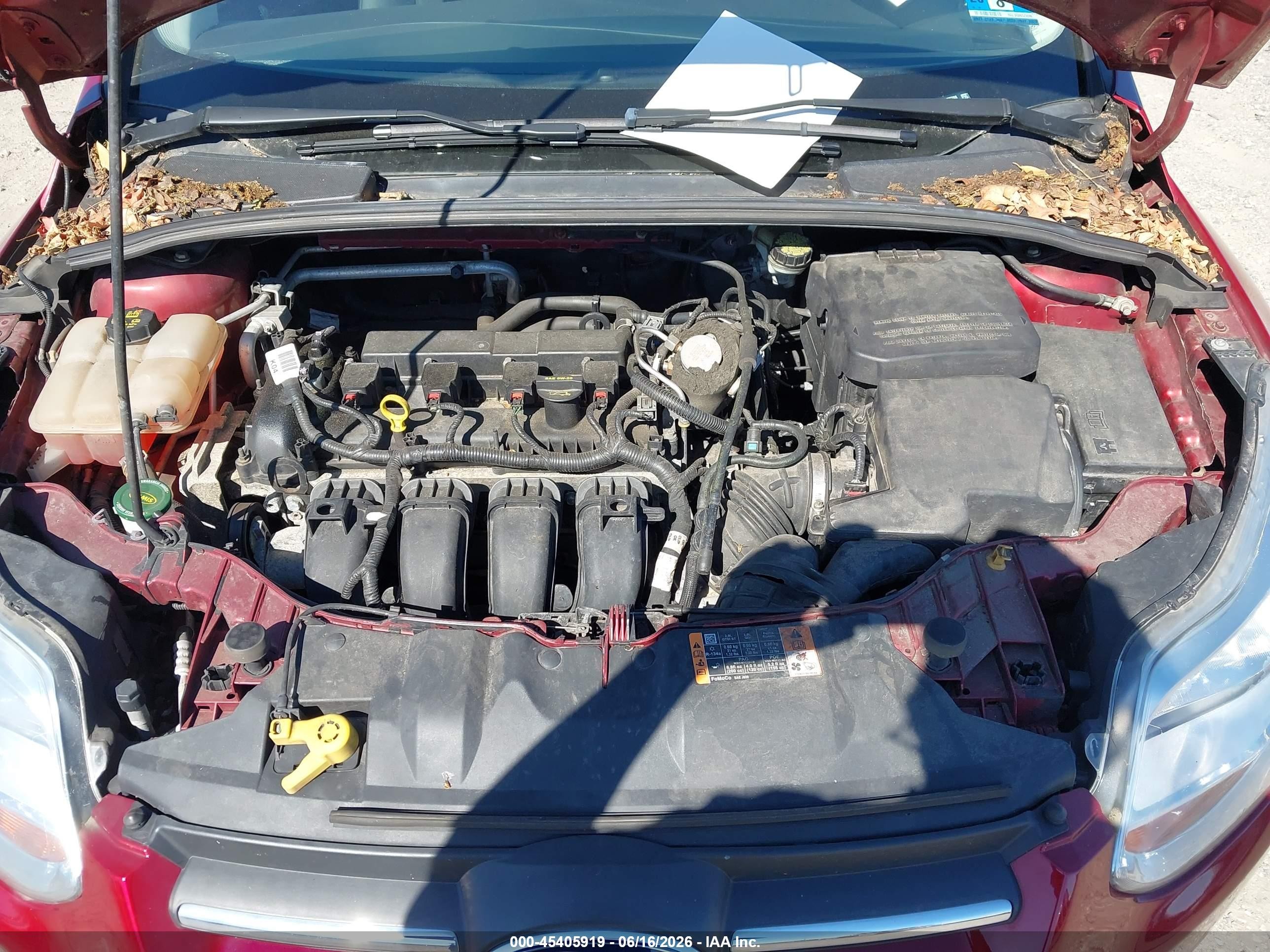 2014 Ford Focus Se Red vin: 1FADP3K29EL377788