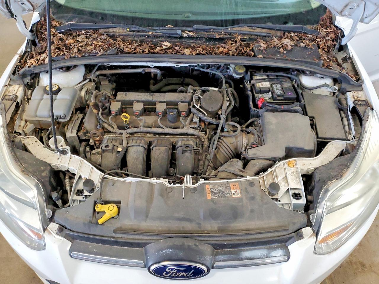 2014 Ford Focus Se White vin: 1FADP3K29EL452893