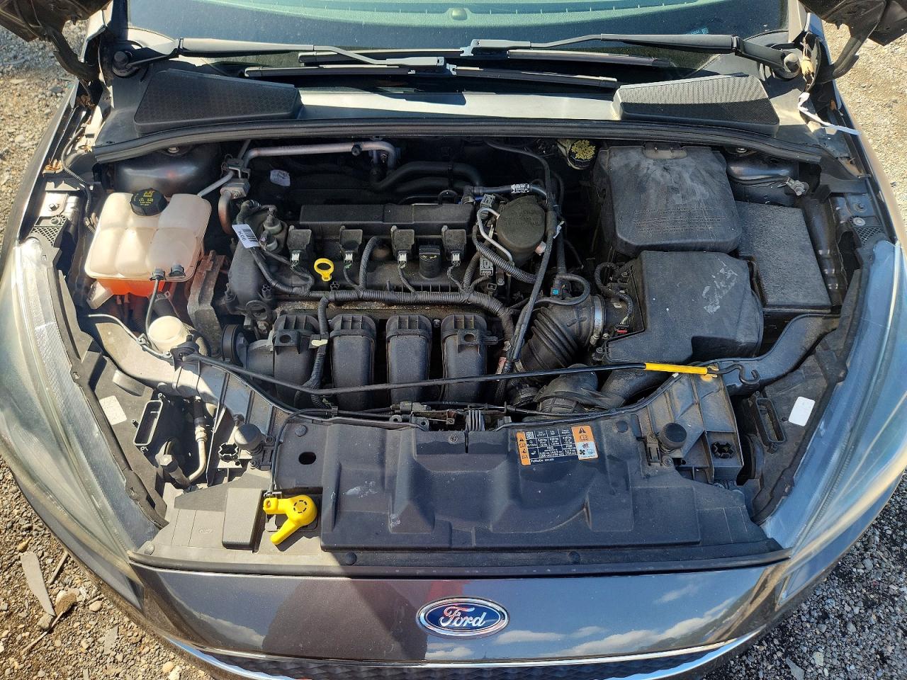 2015 Ford Focus Se Gray vin: 1FADP3K29FL338264