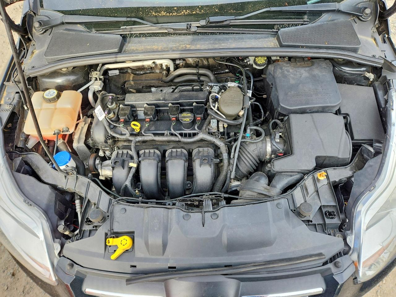 2013 Ford Focus Se Black vin: 1FADP3K2XDL290674