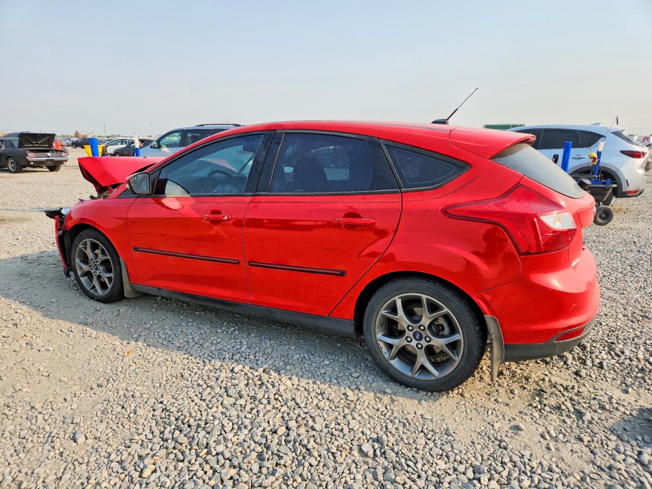 2014 Ford Focus Se Red vin: 1FADP3K2XEL110224