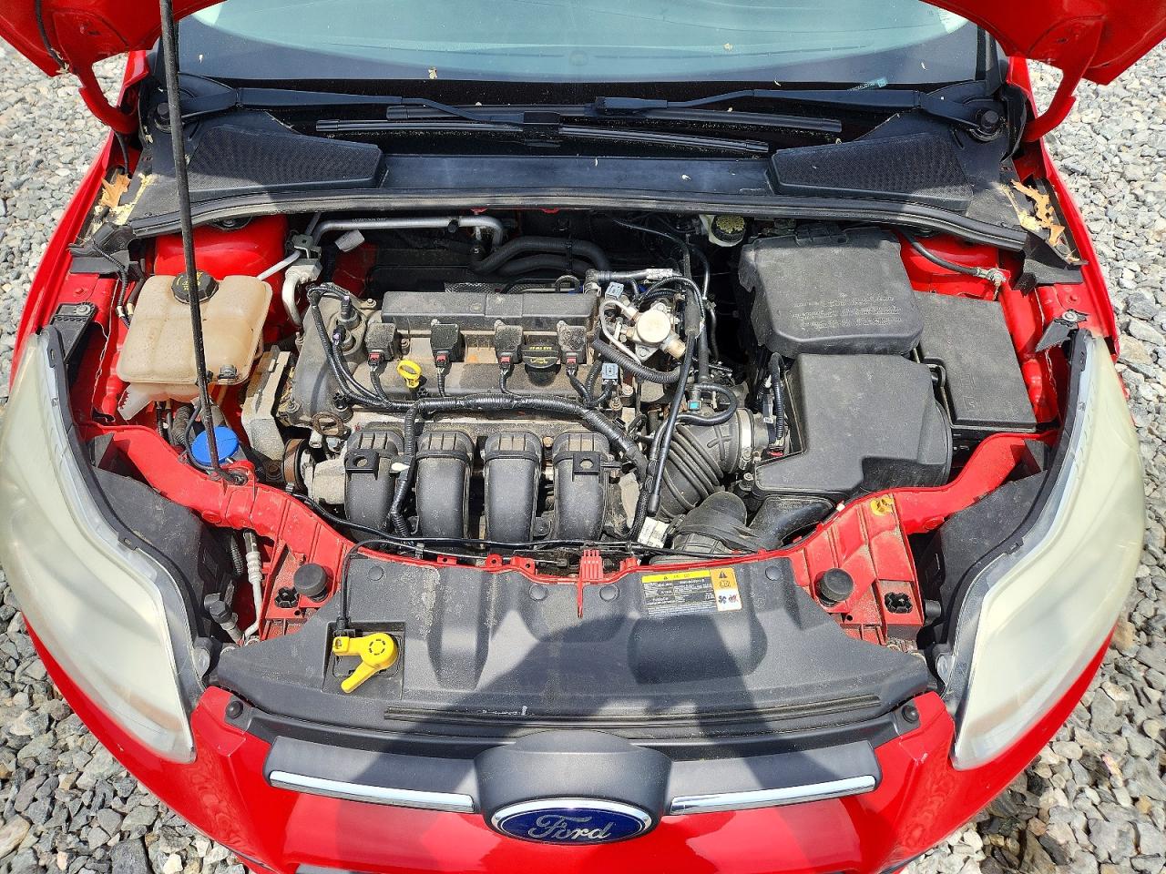 2014 Ford Focus Se Красный vin: 1FADP3K2XEL232100
