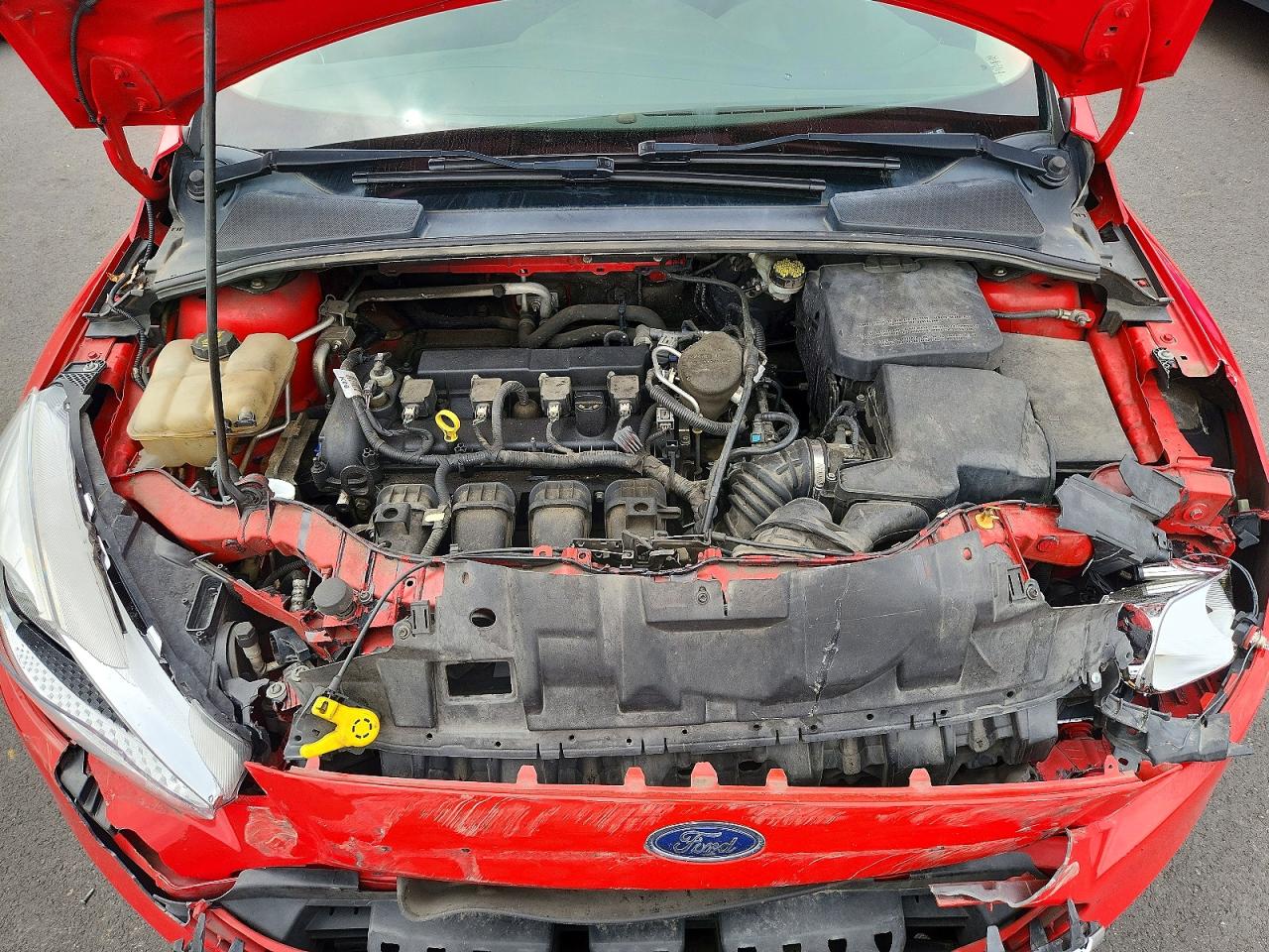 2015 Ford Focus Se Red vin: 1FADP3K2XFL318167