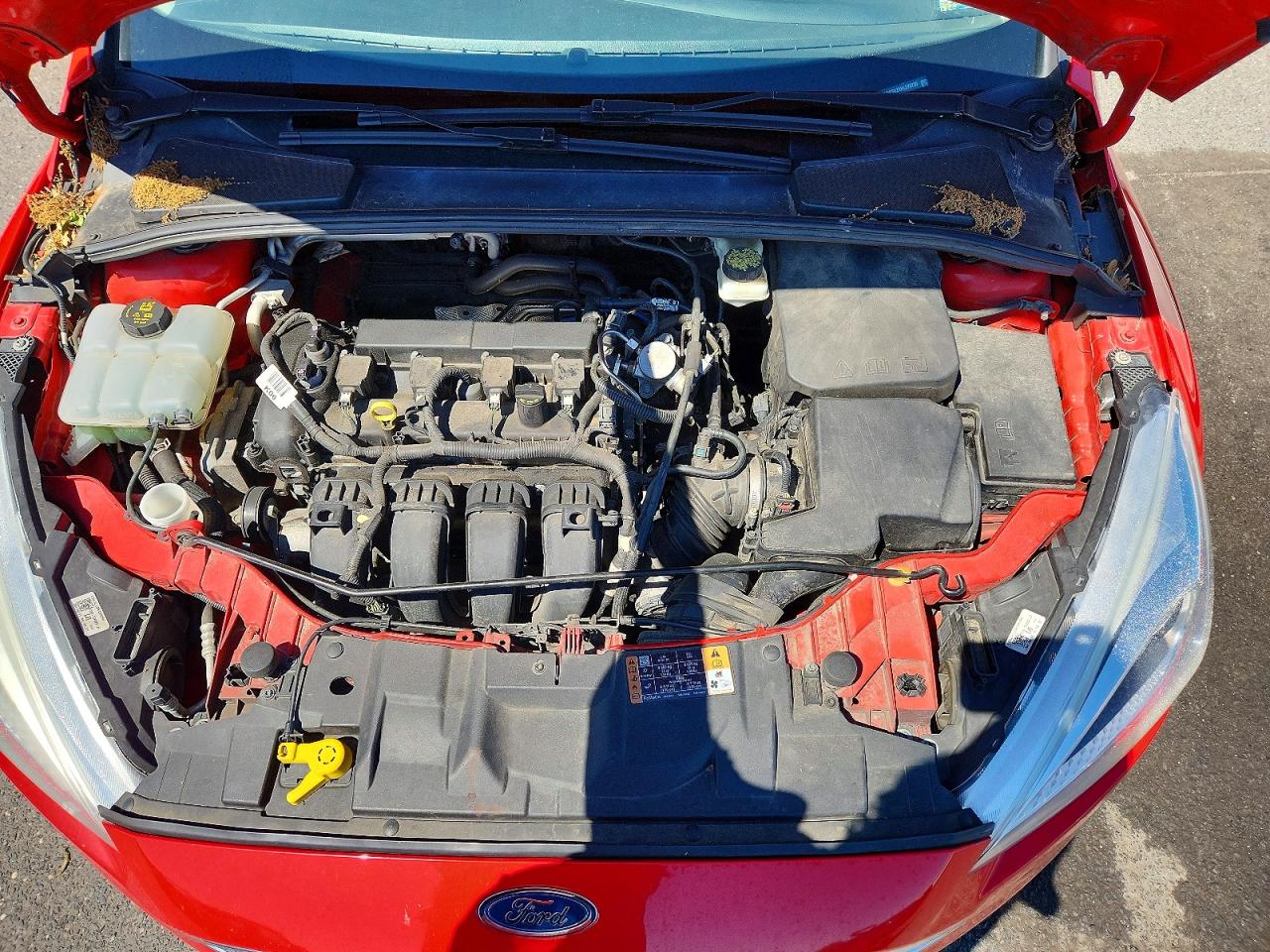 2017 Ford Focus Se Red vin: 1FADP3K2XHL278739
