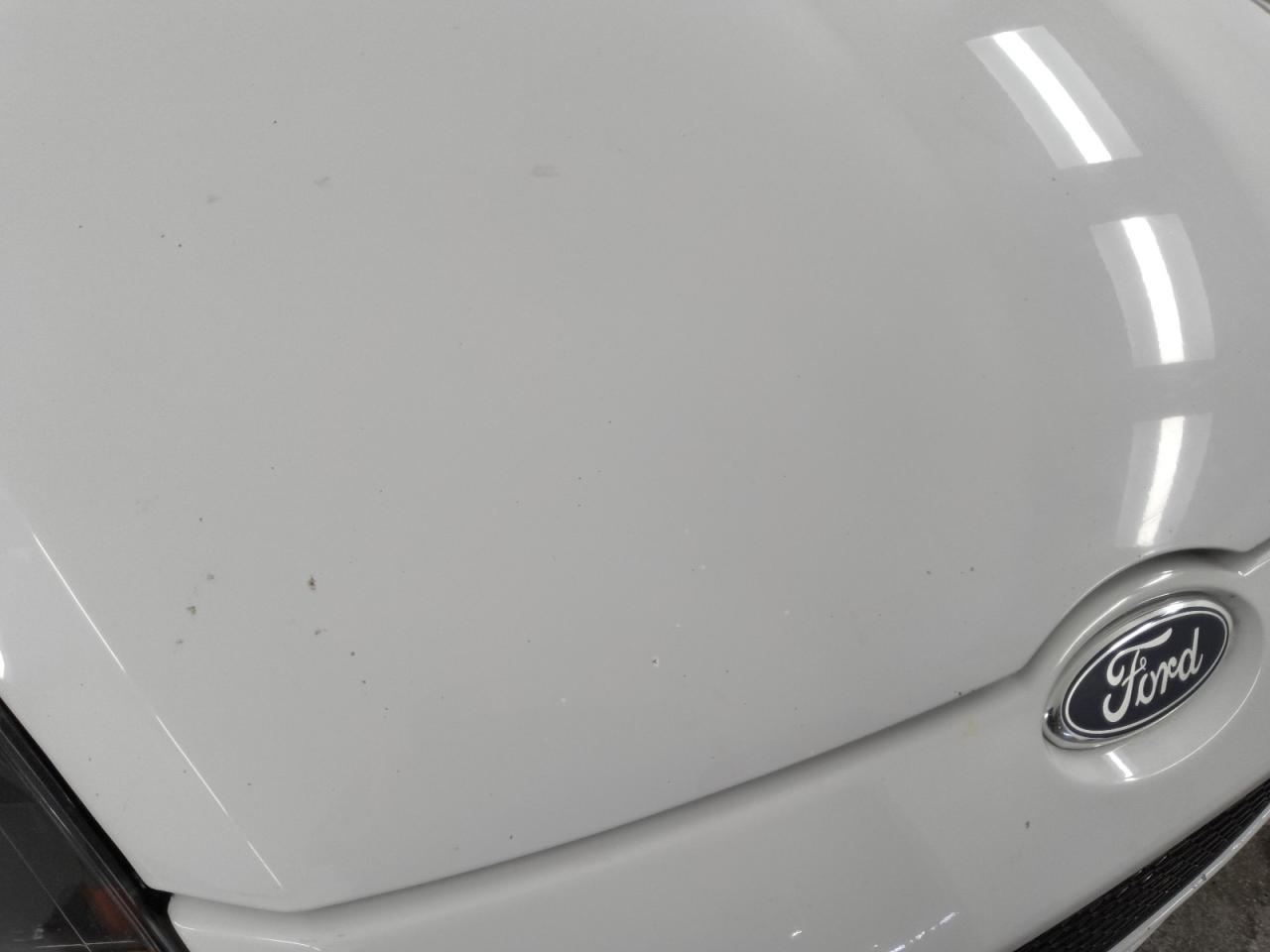 2014 Ford Focus St White vin: 1FADP3L94EL259806 Damage: Hood, Chipped, 9