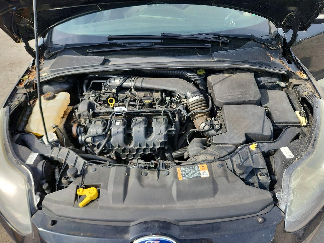 2014 Ford Focus St Black vin: 1FADP3L94EL403788
