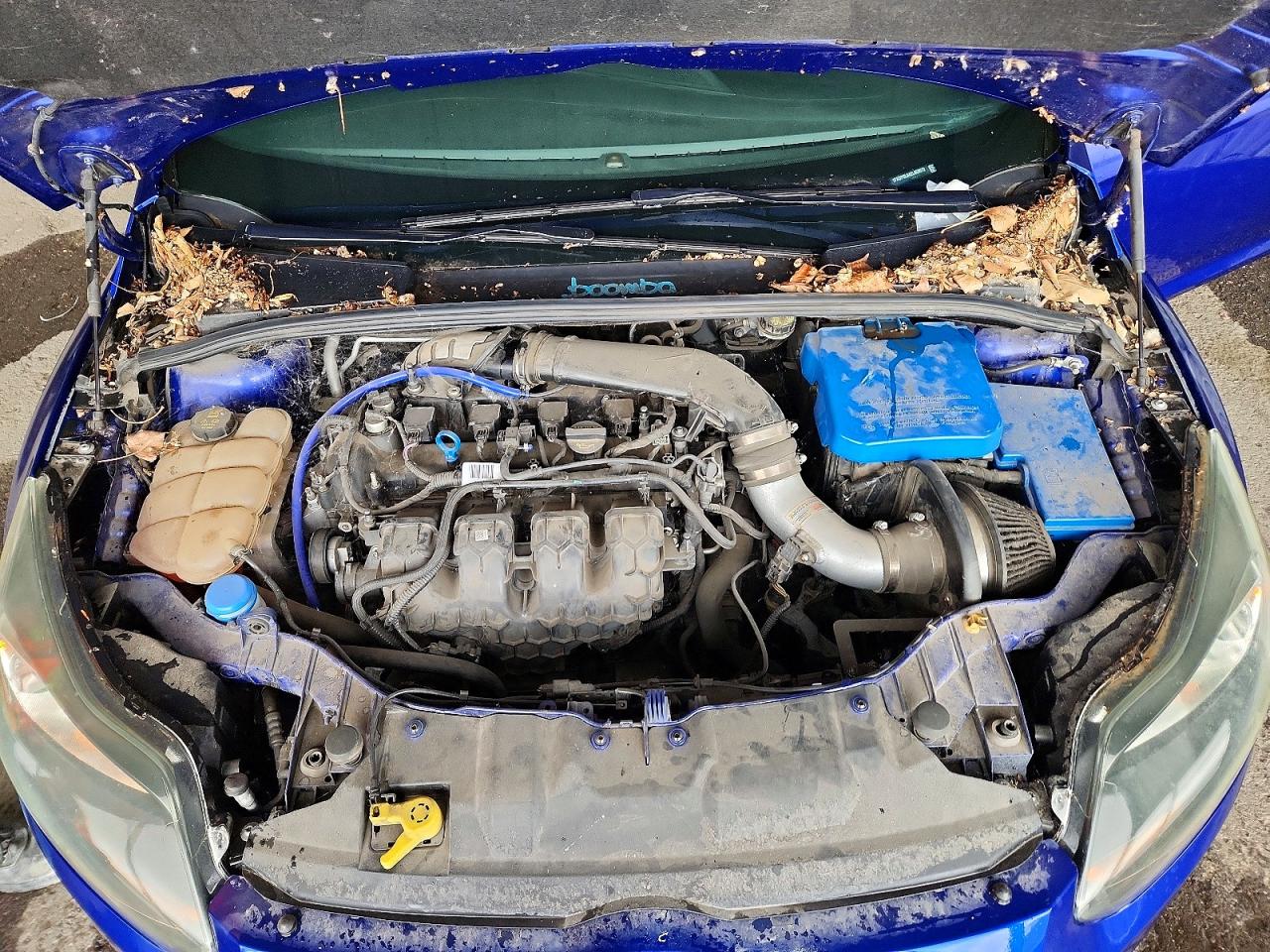 2014 Ford Focus St Синий vin: 1FADP3L94EL460072