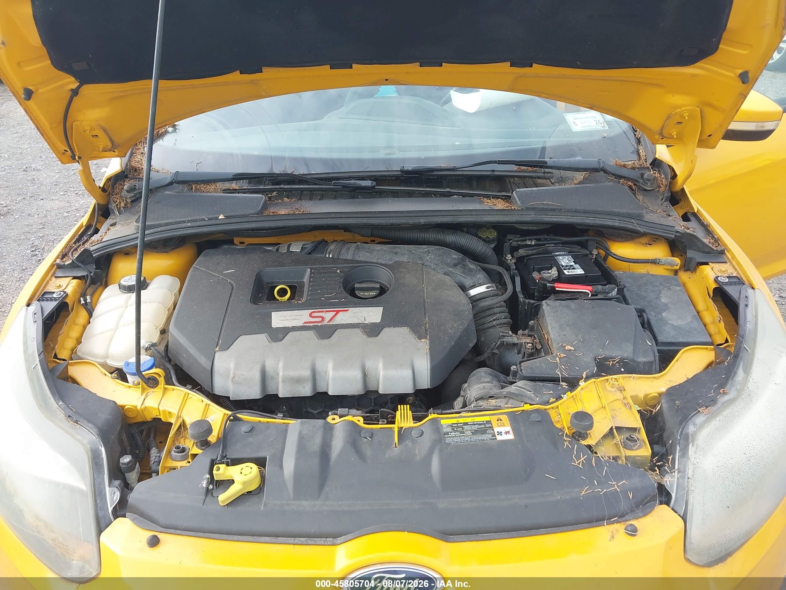 2013 Ford Focus St   Желтый vin: 1FADP3L98DL208615