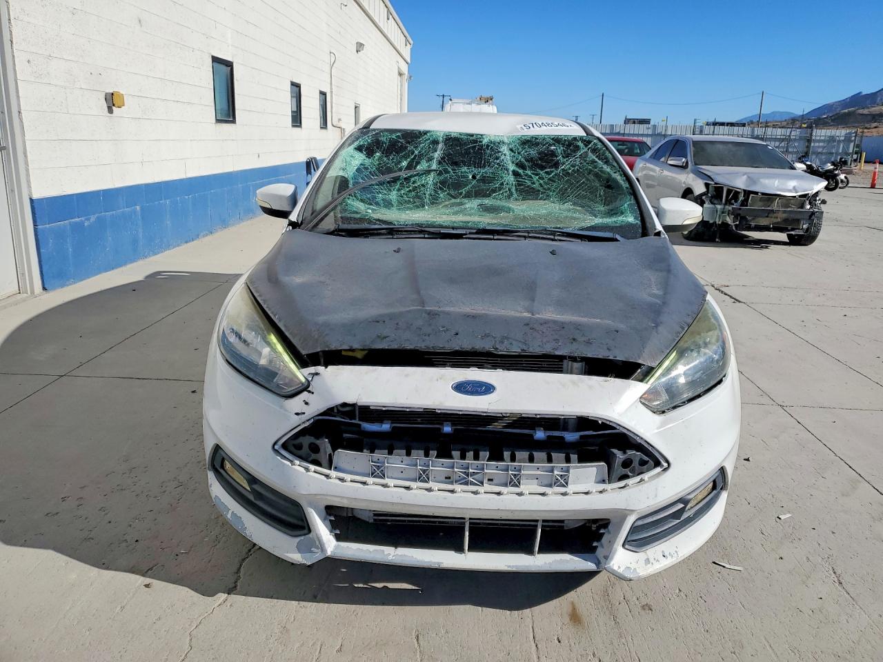 2015 Ford Focus St White vin: 1FADP3L98FL369291