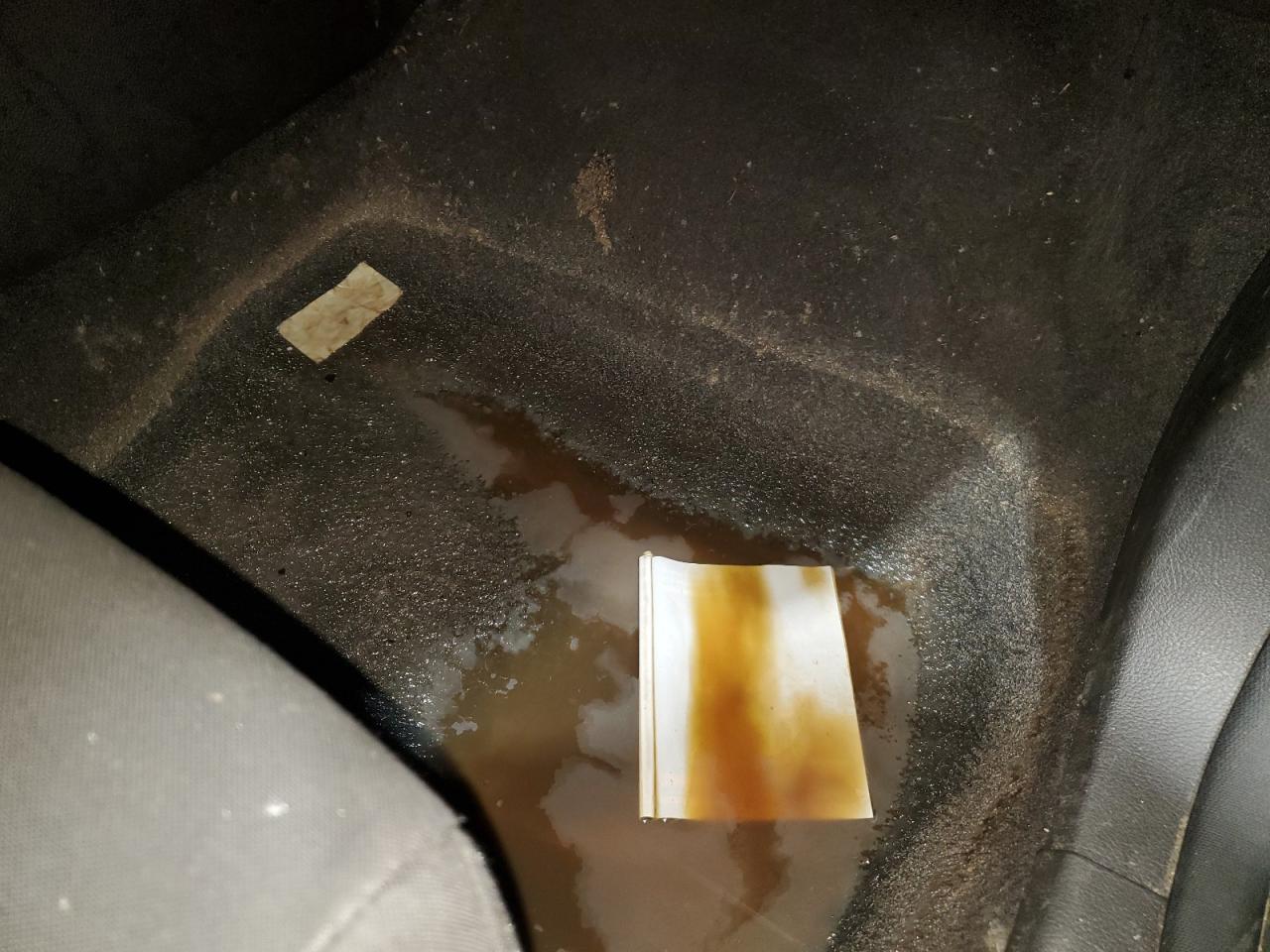 2017 Ford Focus Sel Black vin: 1FADP3M26HL249204 Damage: Right Front Carpet, Stained, Permanent