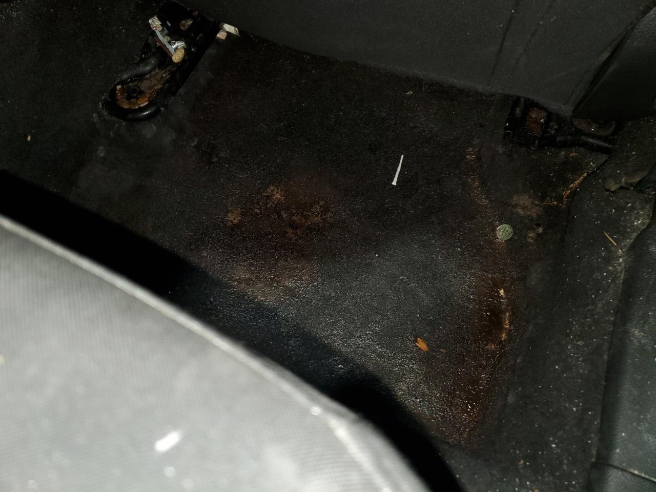 2017 Ford Focus Sel Black vin: 1FADP3M26HL249204 Damage: Right Rear Carpet, Stained, Permanent