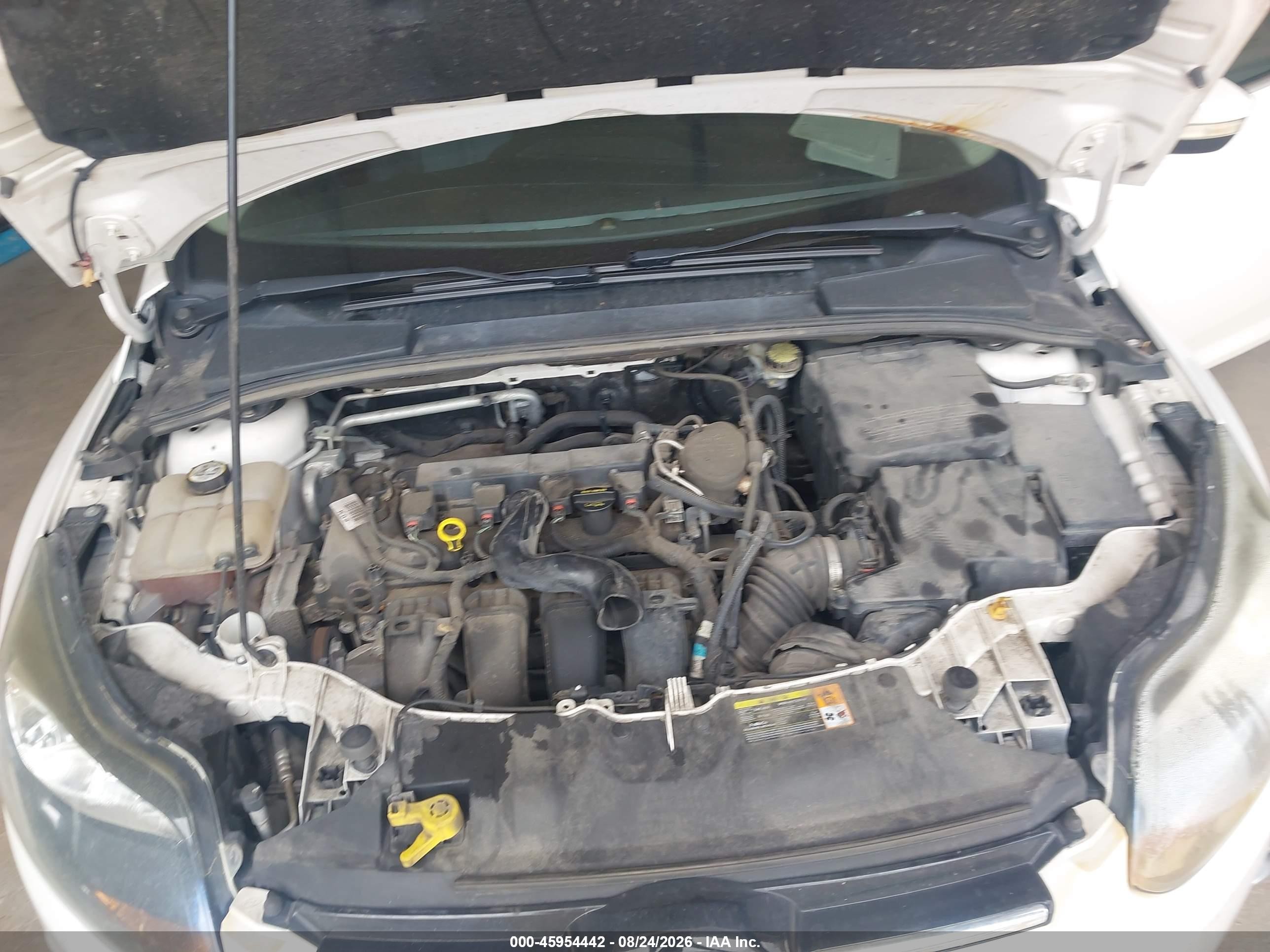 2013 Ford Focus Titanium Белый vin: 1FADP3N20DL184164