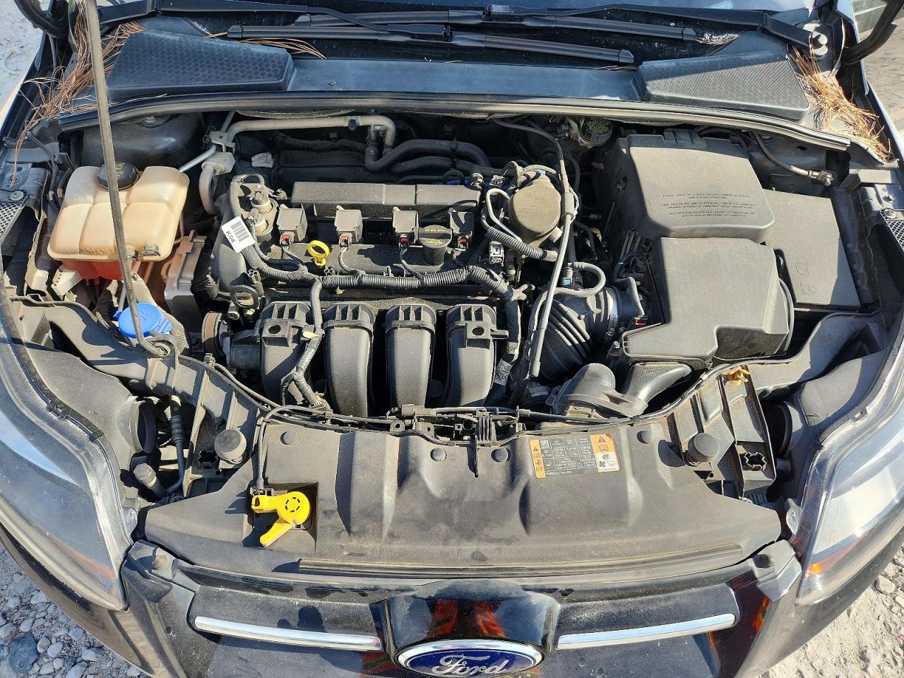 2014 Ford Focus Titanium Black vin: 1FADP3N20EL281124