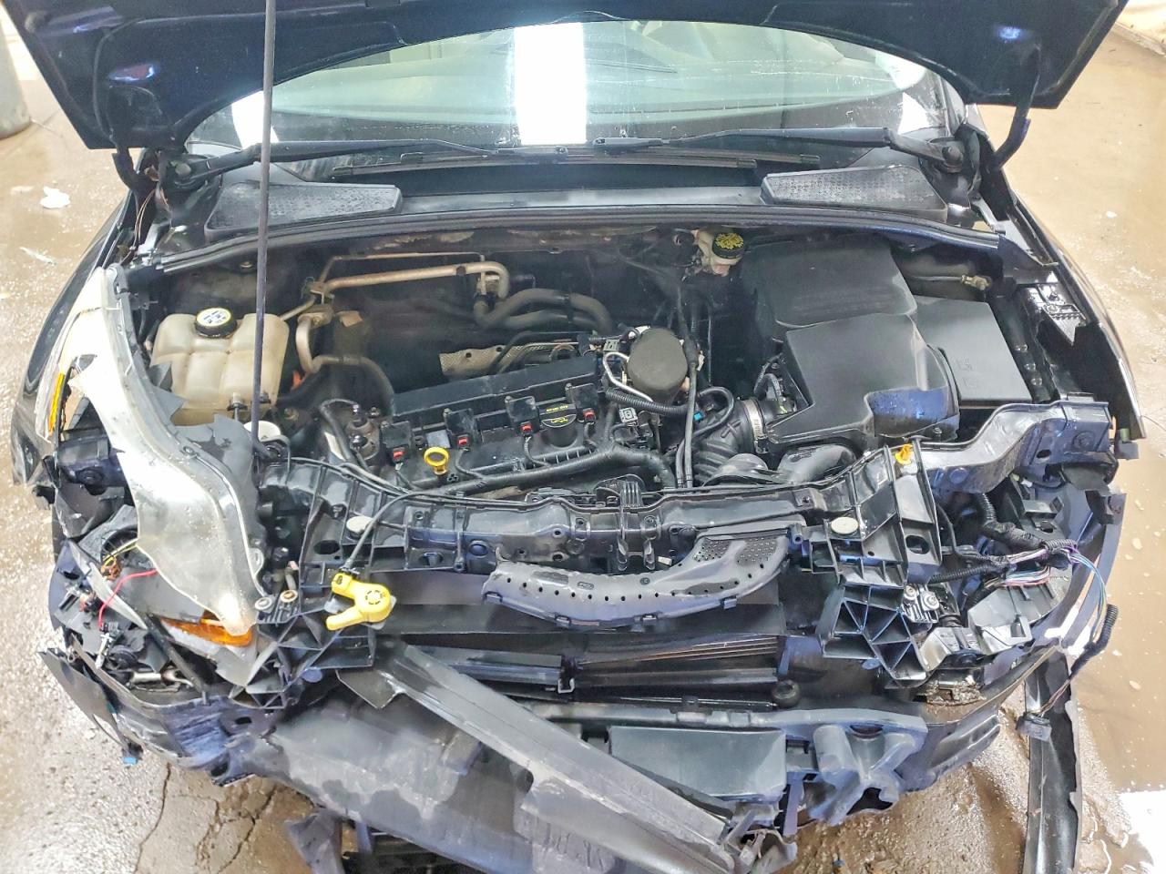2013 Ford Focus Titanium Black vin: 1FADP3N21DL188188