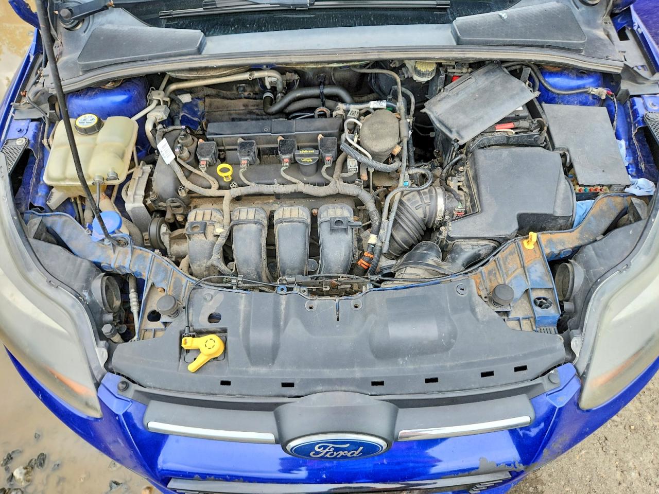 2013 Ford Focus Titanium Синий vin: 1FADP3N22DL204284