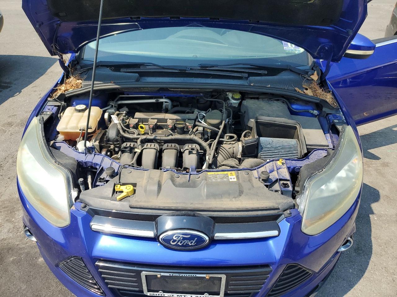 2013 Ford Focus Titanium Blue vin: 1FADP3N23DL180481