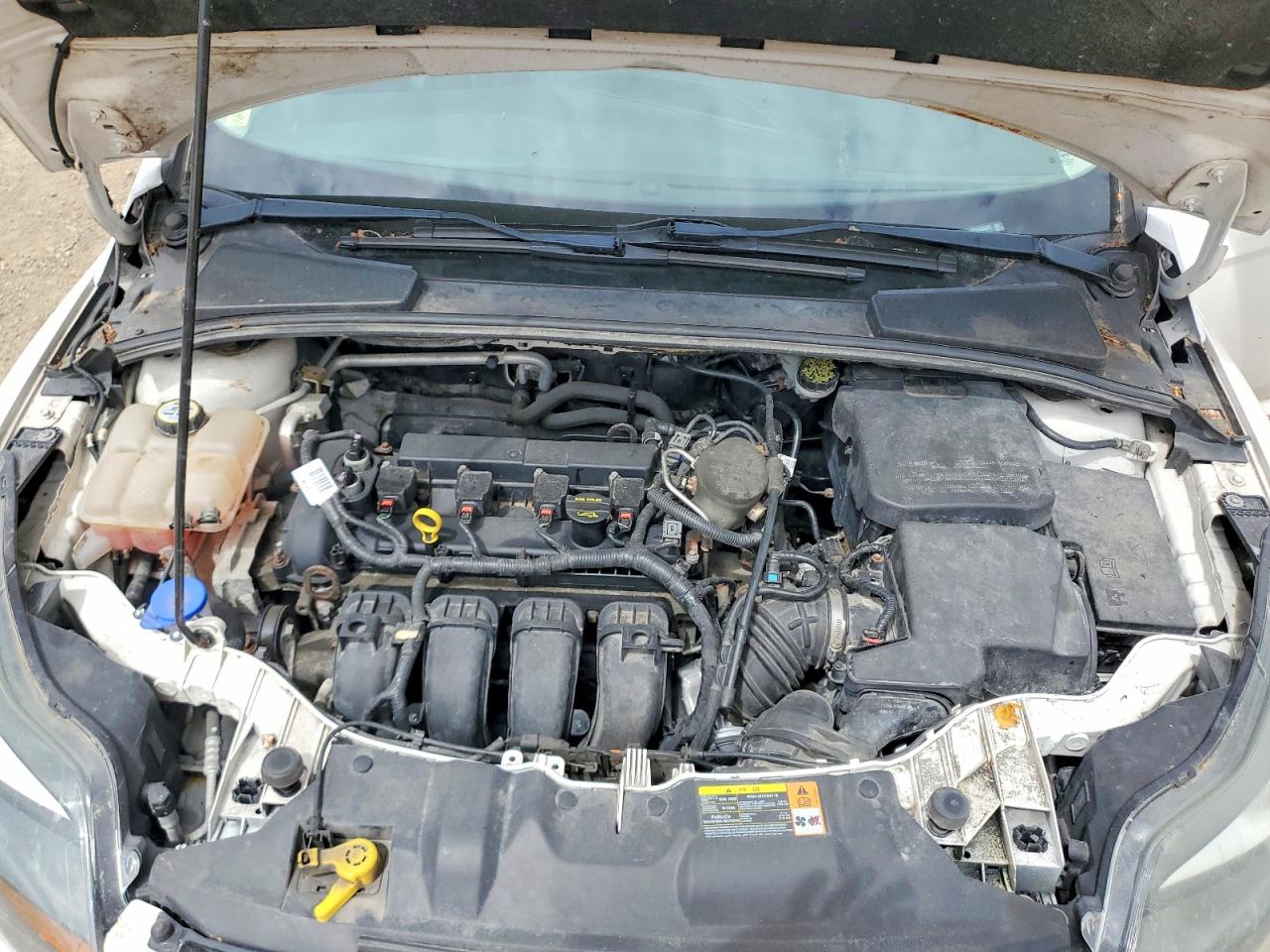 2013 Ford Focus Titanium White vin: 1FADP3N25DL131072