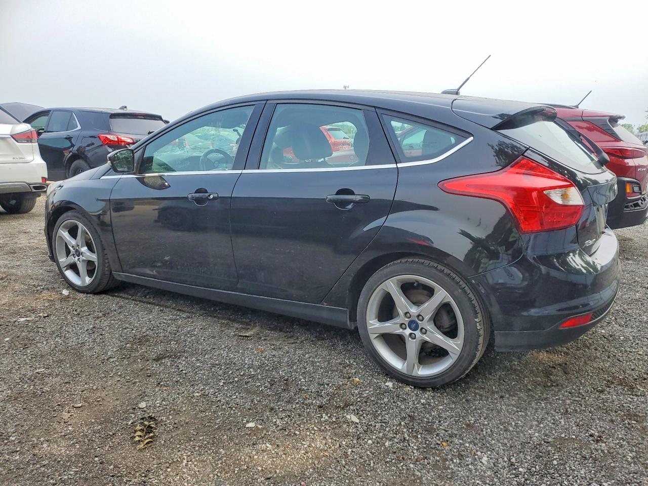 2013 Ford Focus Titanium Black vin: 1FADP3N26DL101661