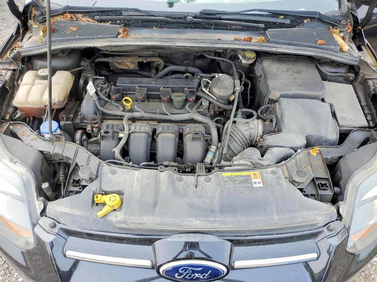 2013 Ford Focus Titanium Black vin: 1FADP3N26DL101661